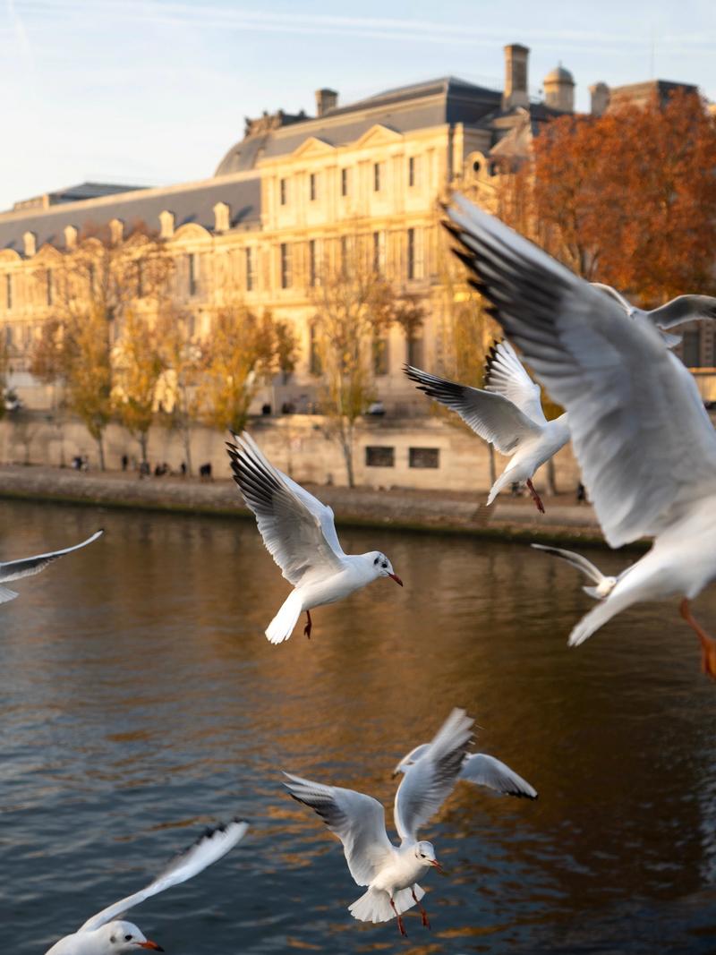 Photo de Paris à Paris par Paul Piccolini - CFB727CD 3651 4E2C 9774 684F864BFB58