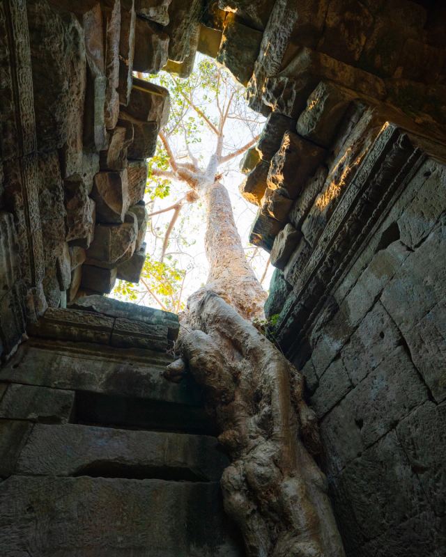 Photo de voyage par Paul Piccolini - Cambodge 2024 02 22 029