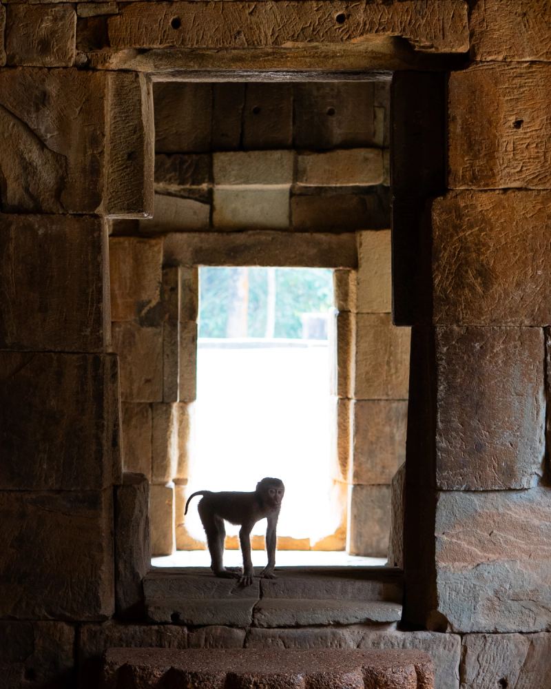 Photo de voyage par Paul Piccolini - Non classe 004