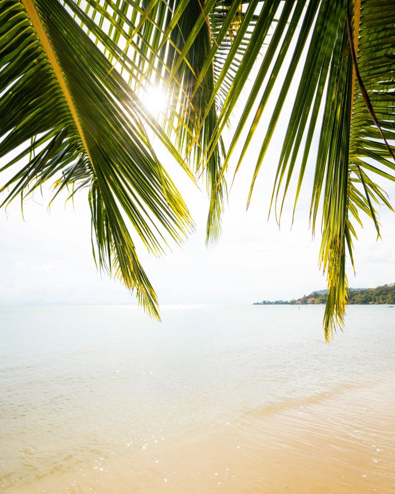 Photo de voyage par Paul Piccolini - Thailande 2022 12 26 007