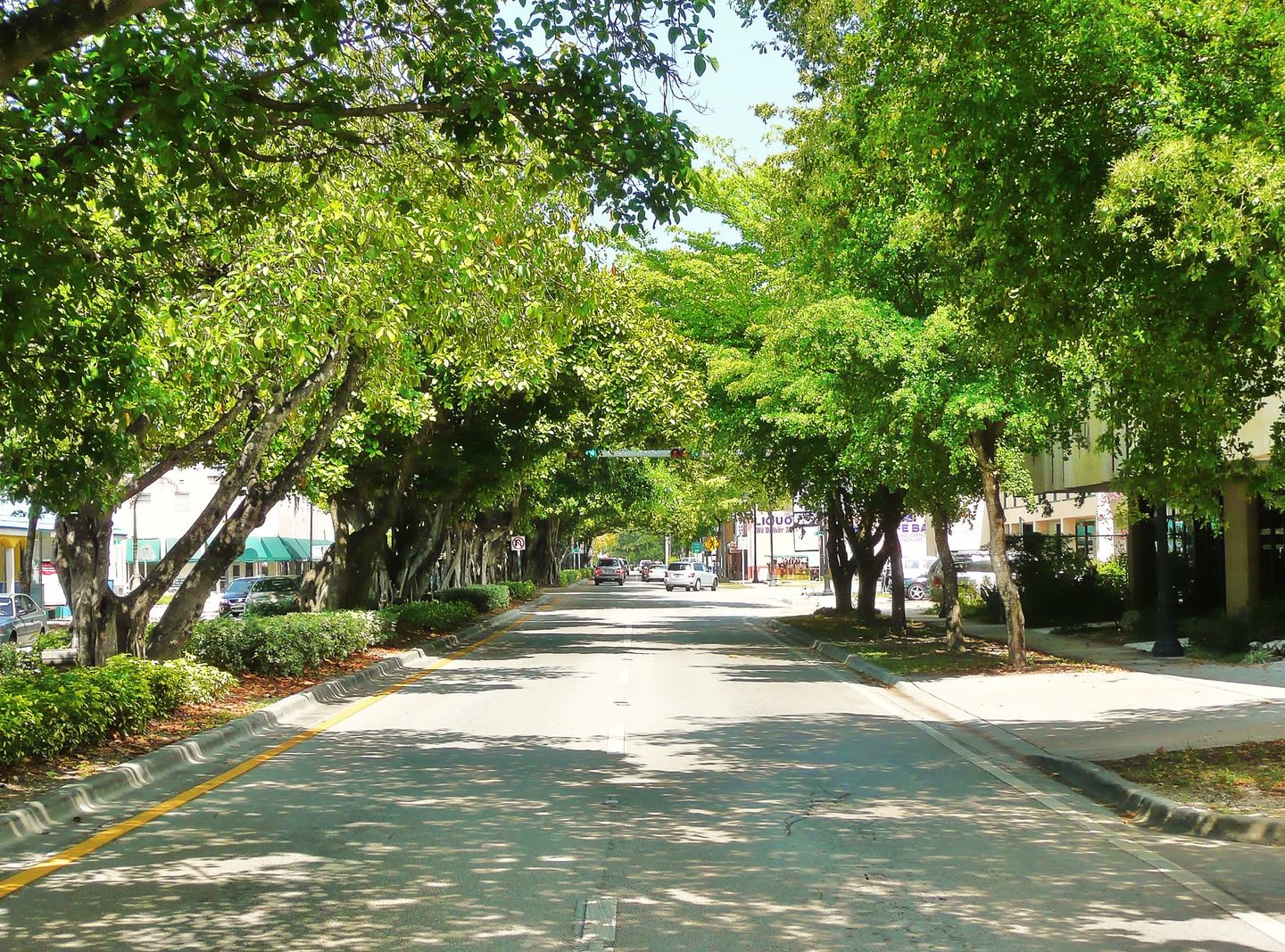 Tree-canopied Coral Way looking west through the Flagami corridor