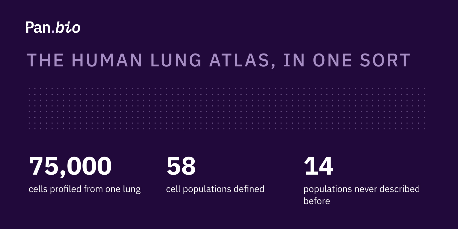 Lung Atlas