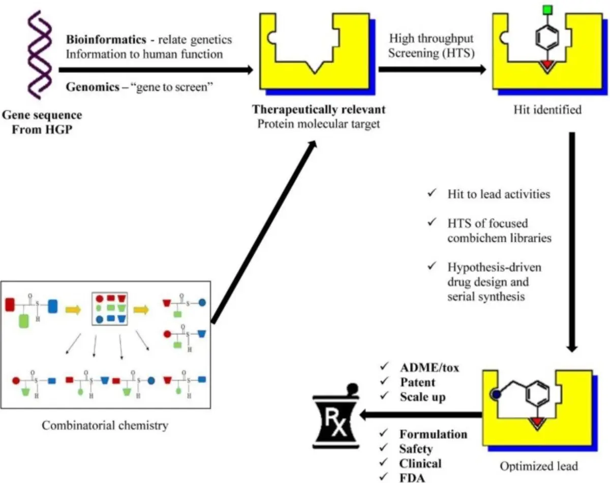 The major role of bioinformatics in drug discovery