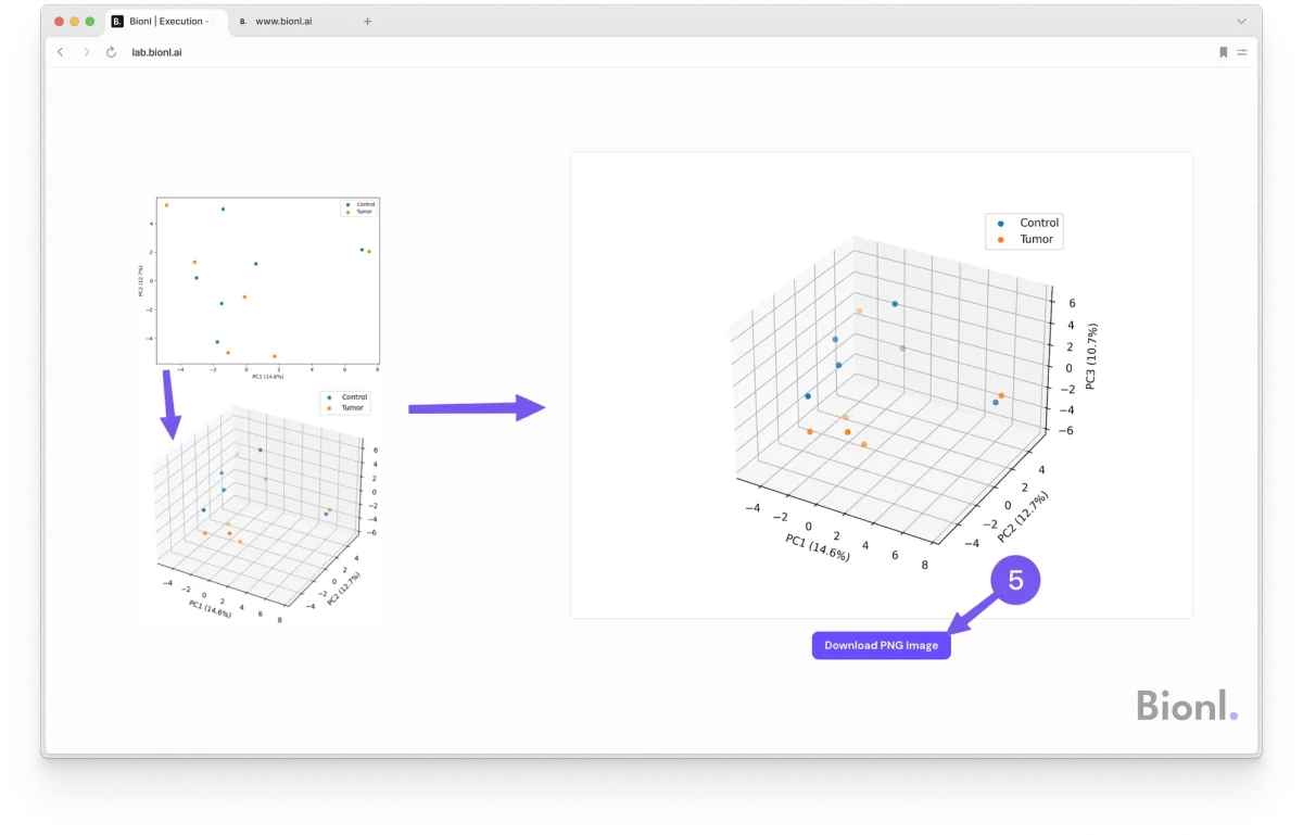 Step 5: Iterate & explore effortlessly