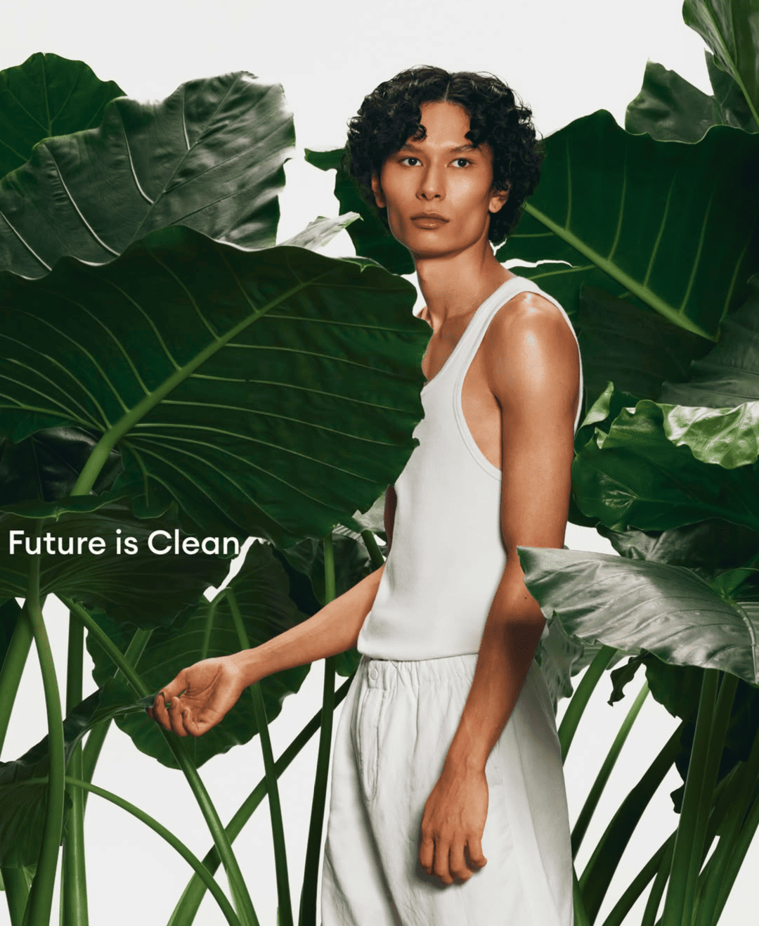 gallery-0-Sensatia Botanicals