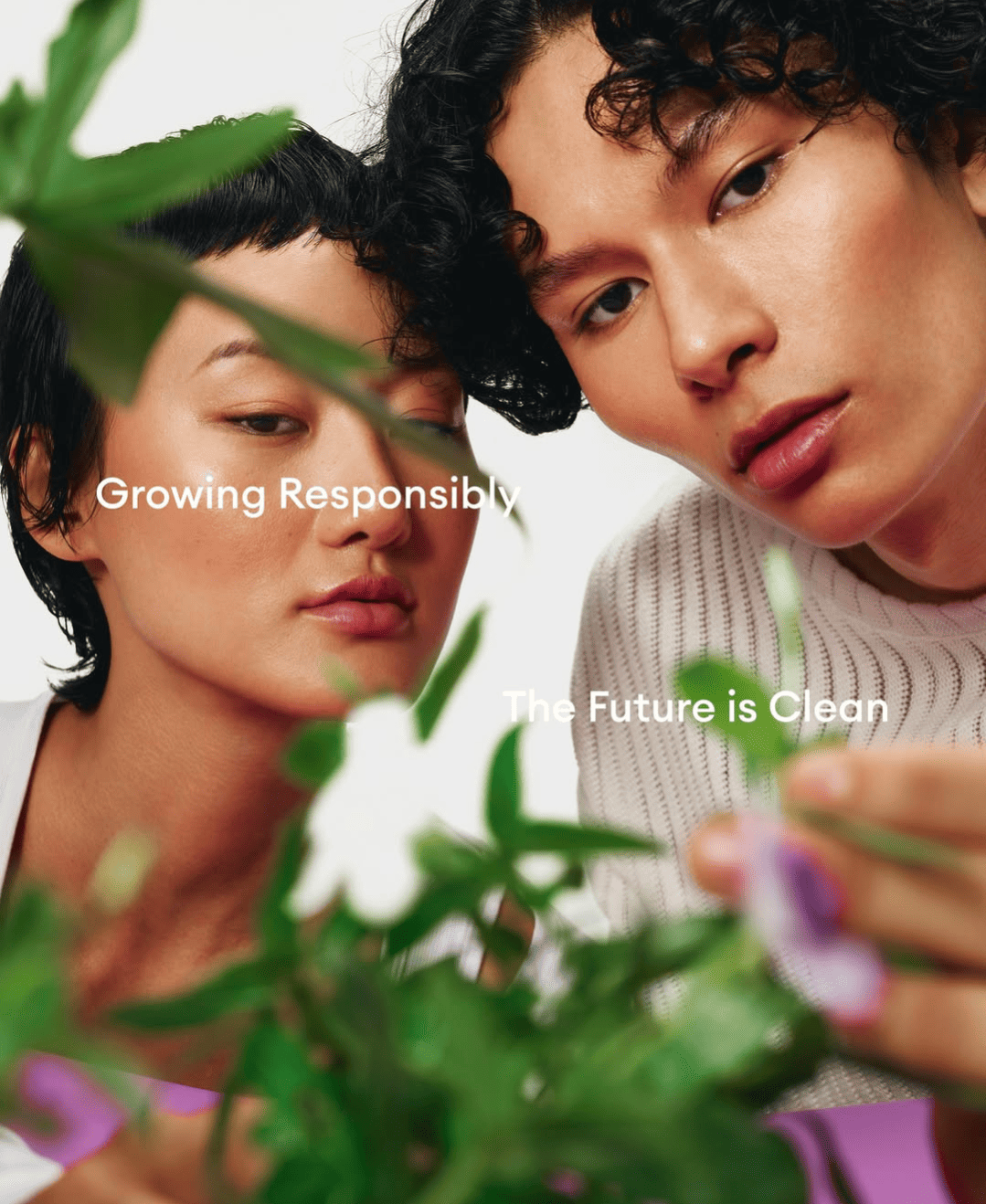 gallery-1-Sensatia Botanicals