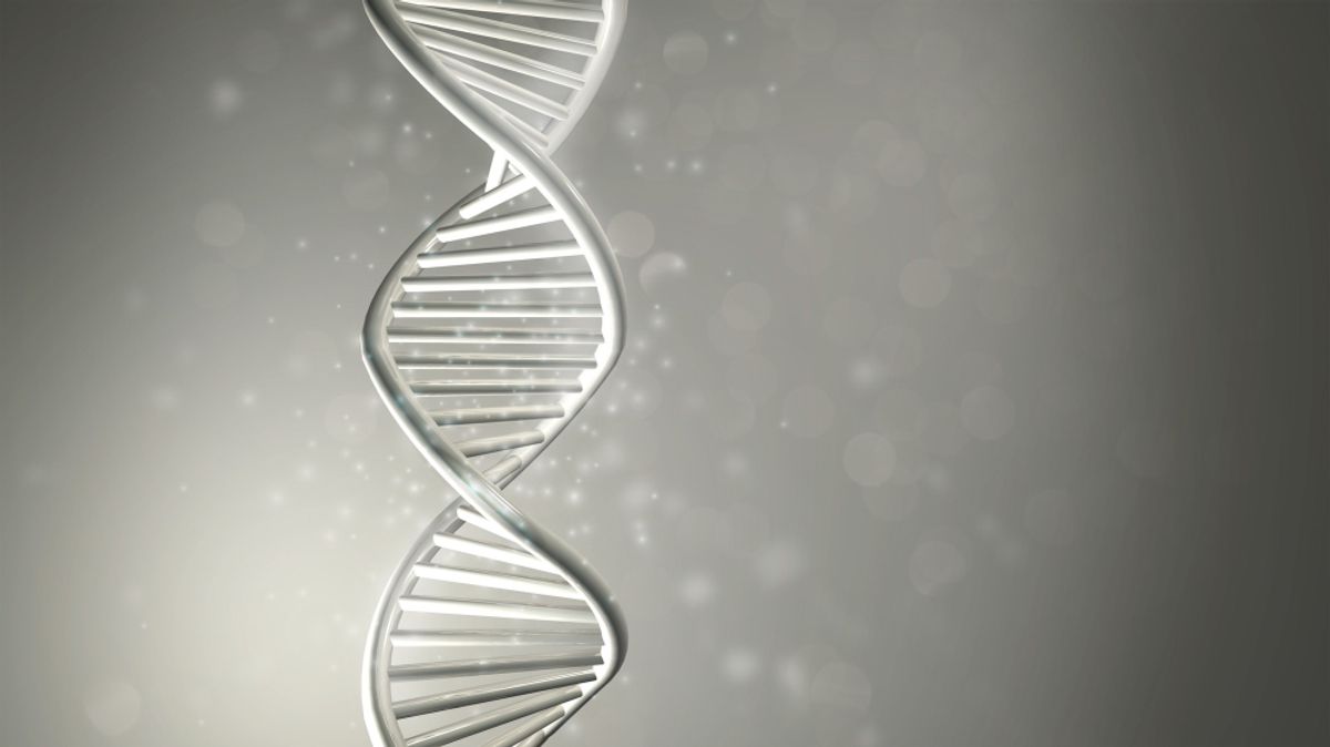 Deep PowerBuilder DNA