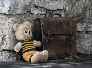 A cuddly toy instead of shares?