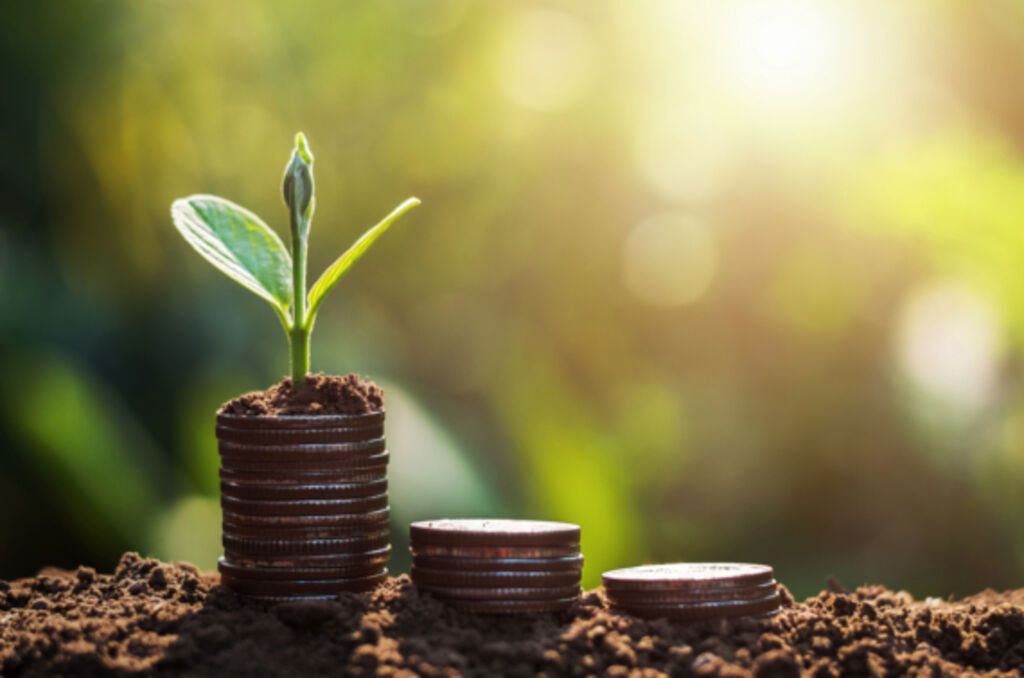 Sustainable investments aren't pricey organic produce