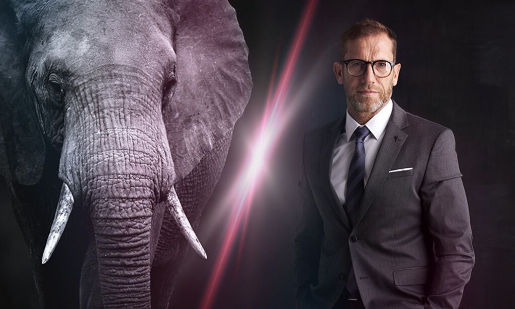 When an elephant doesn't buy Wirecard shares.