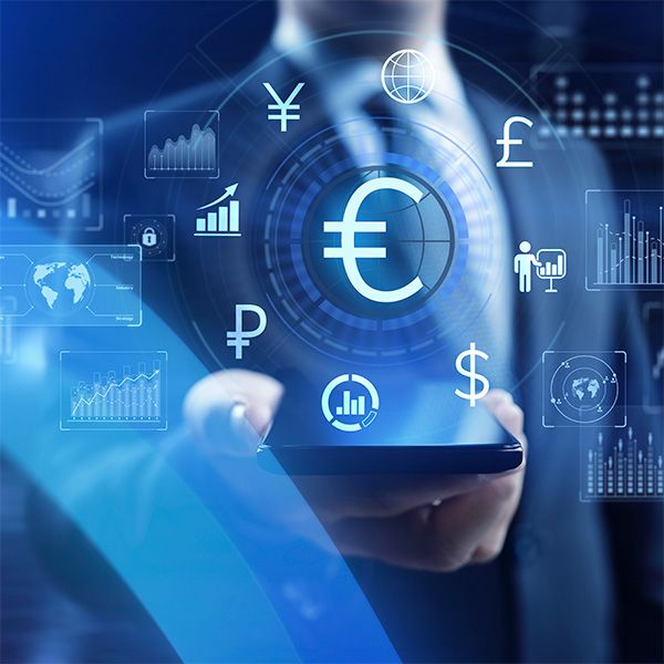 Was machen Währungsschwankungen mit dem Portfolio?