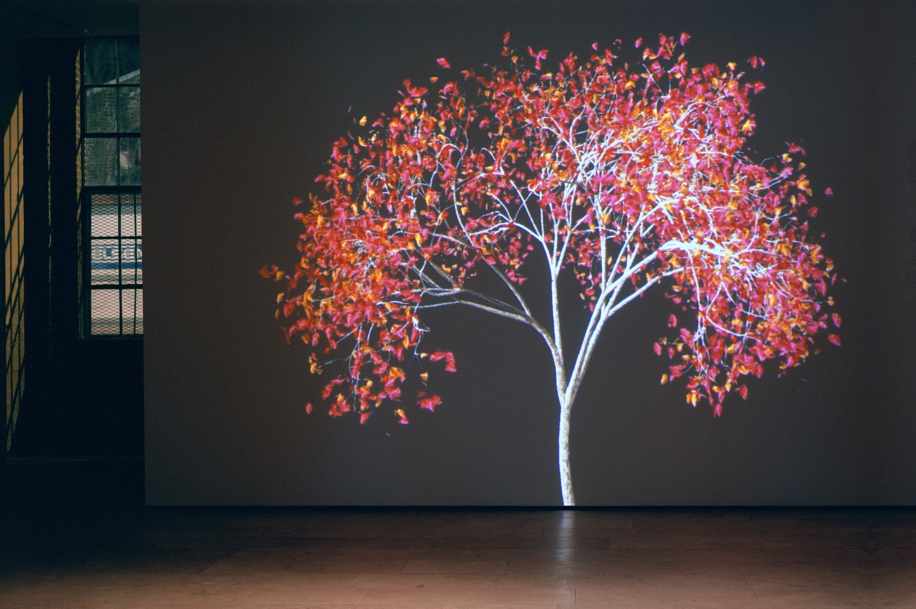 Installation of Jennifer Steinkamp at Lehmann Maupin New York