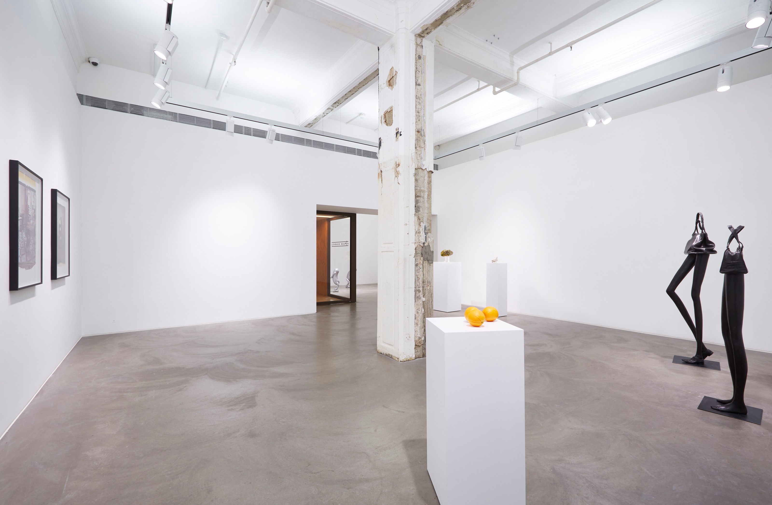 Installation view of Erwin Wurm at Lehmann Maupin Hong Kong