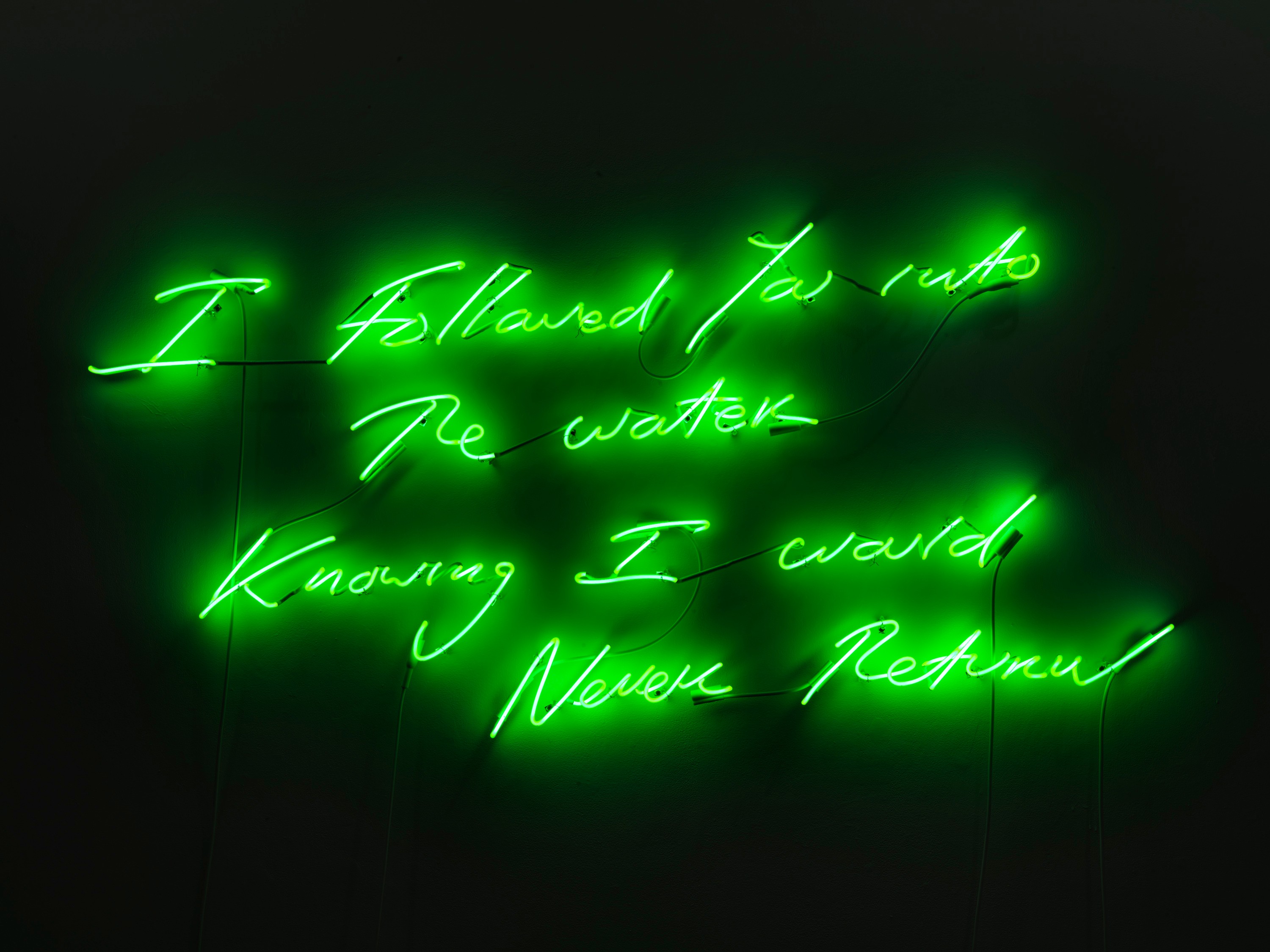 Neon sculpture by Tracey Emin