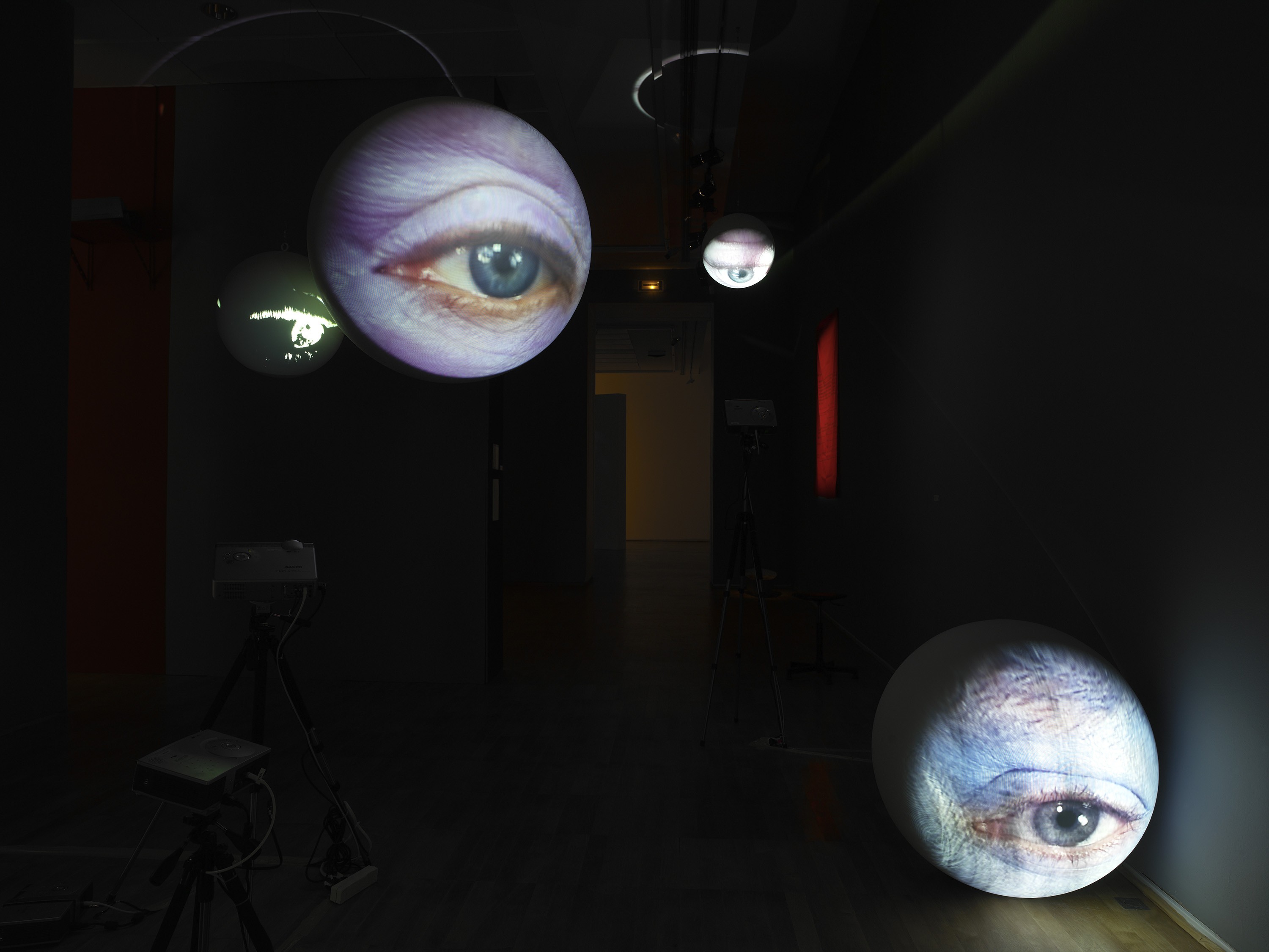 Installation of DISPOSITIFS at Jeu de Paume