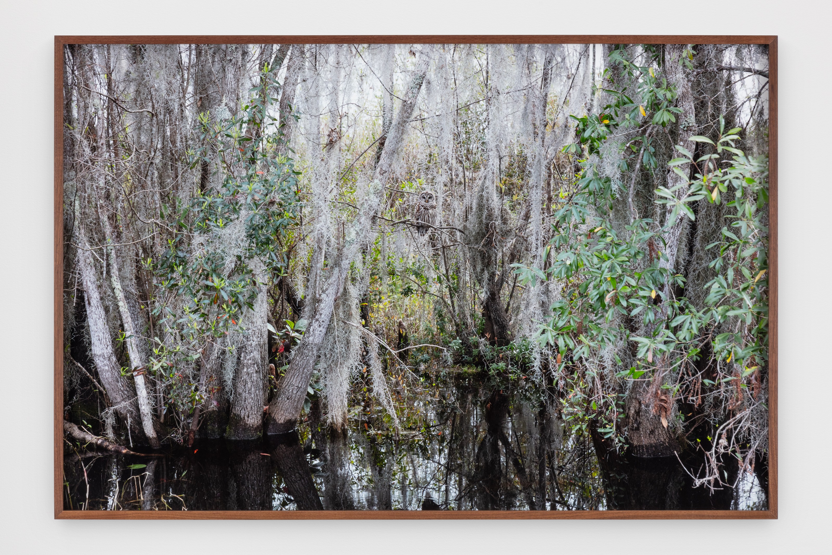 Photograph by Catherine Opie