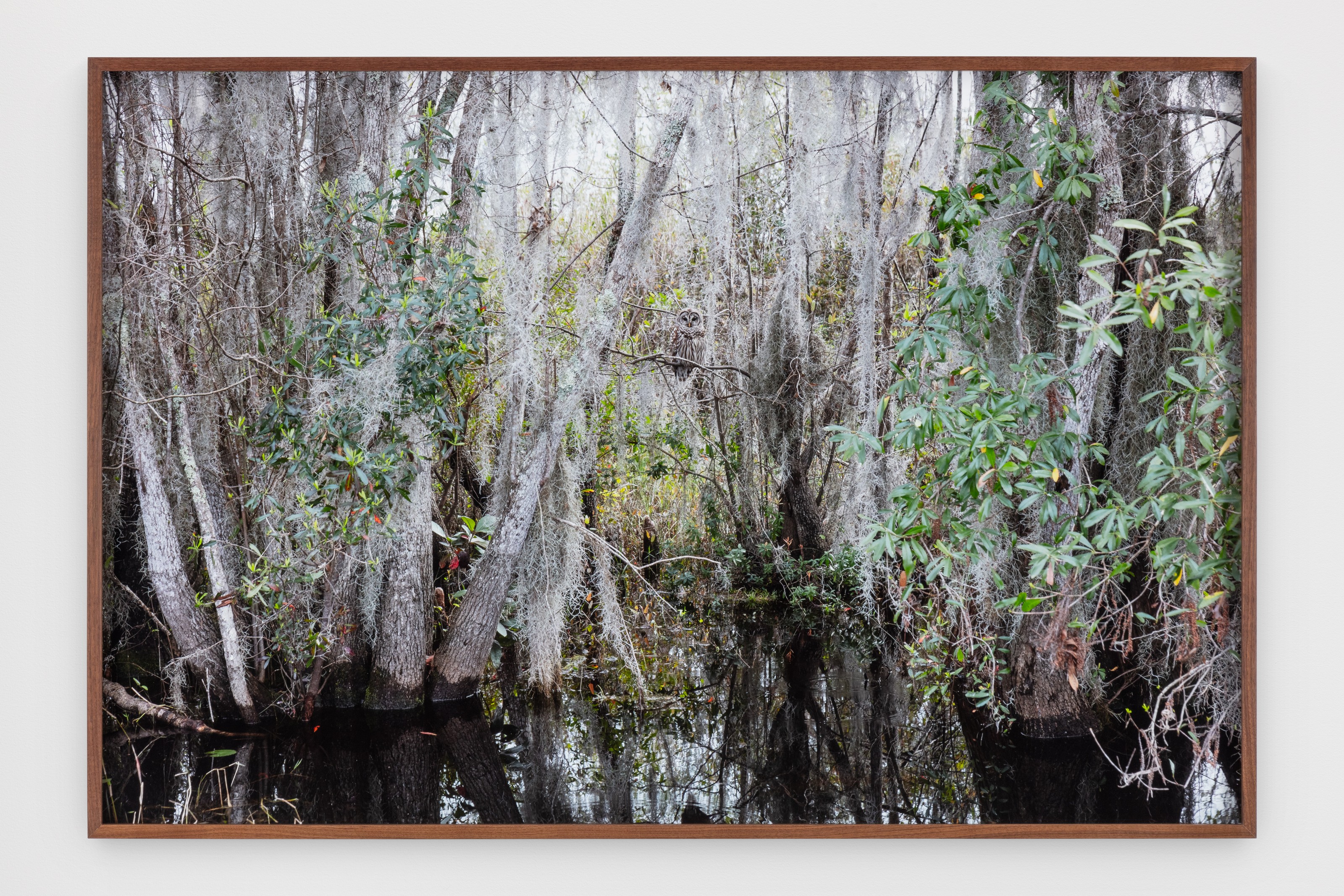 Photograph by Catherine Opie