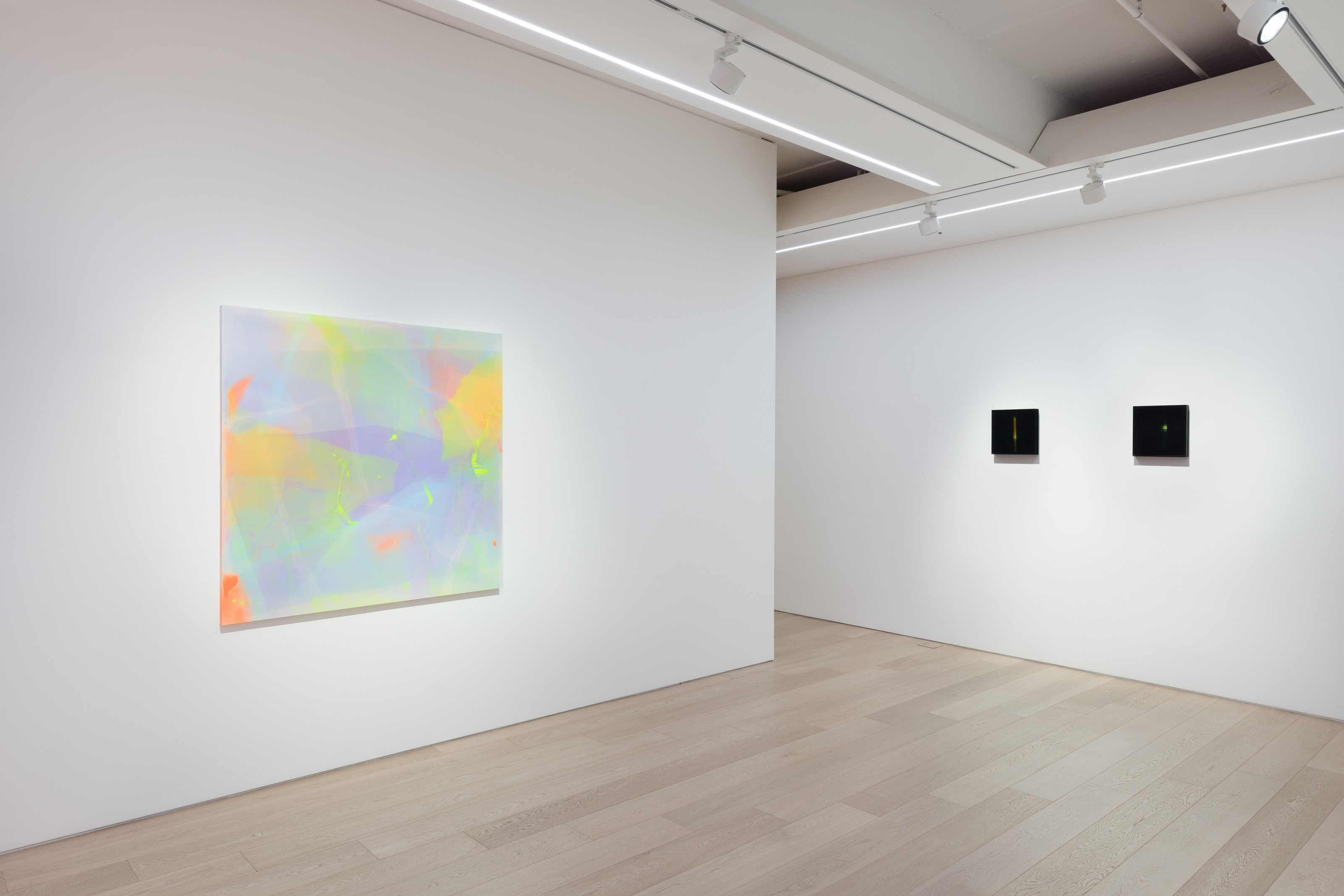 Installation view of Reflections and Refractions at Lehmann Maupin Seoul