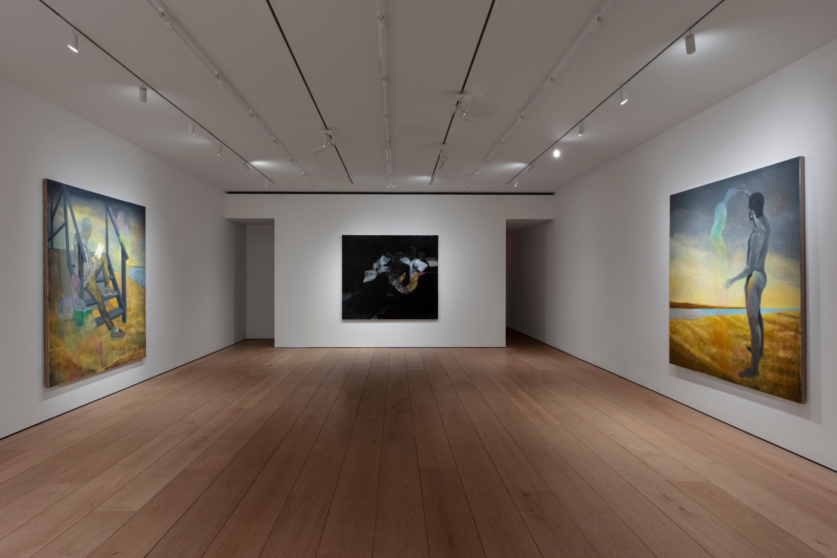 Installation view of Dominic Chambers at Lehmann Maupin New York