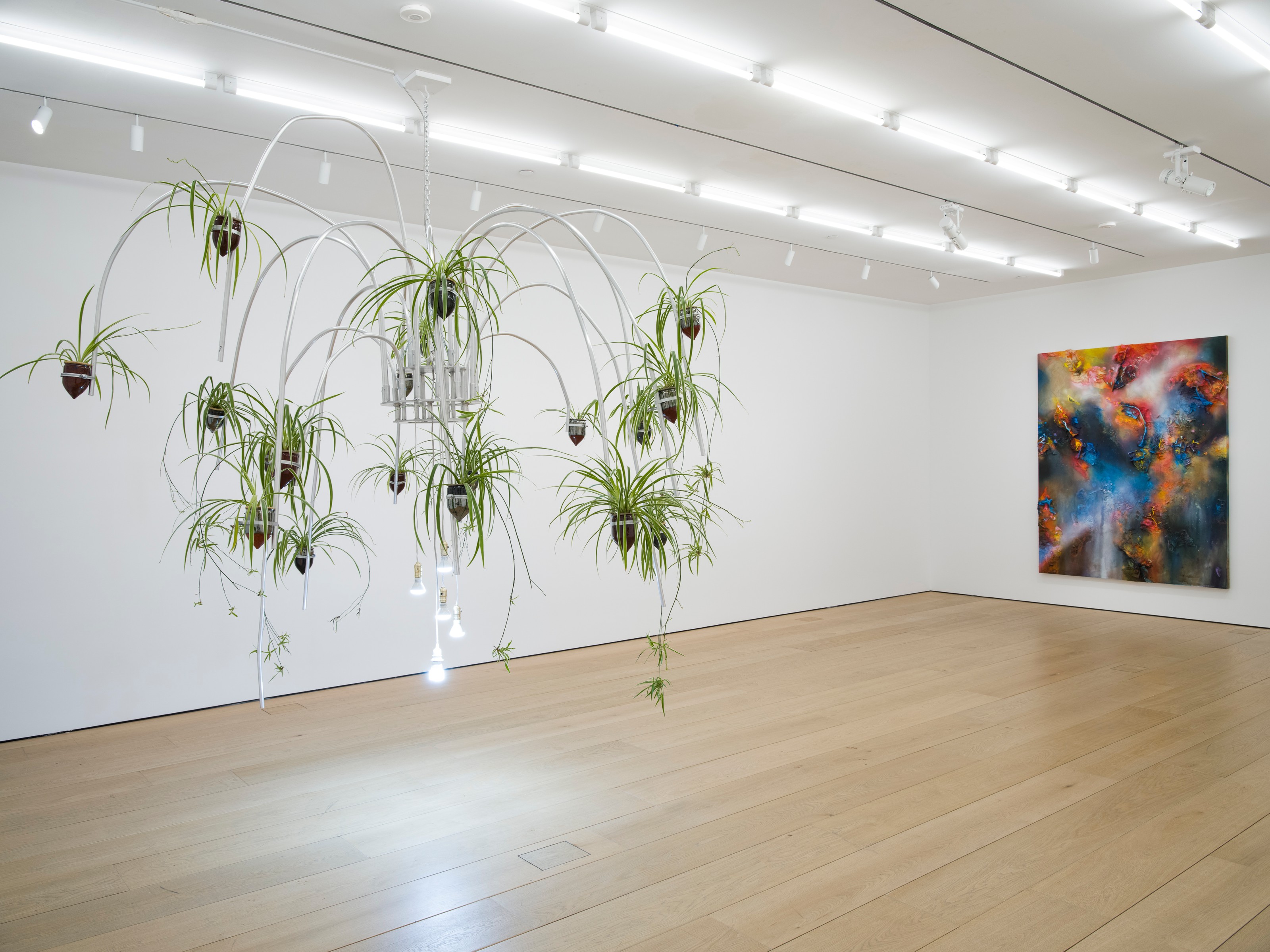 Installation view of Eyes of the Skin at Lehmann Maupin New York