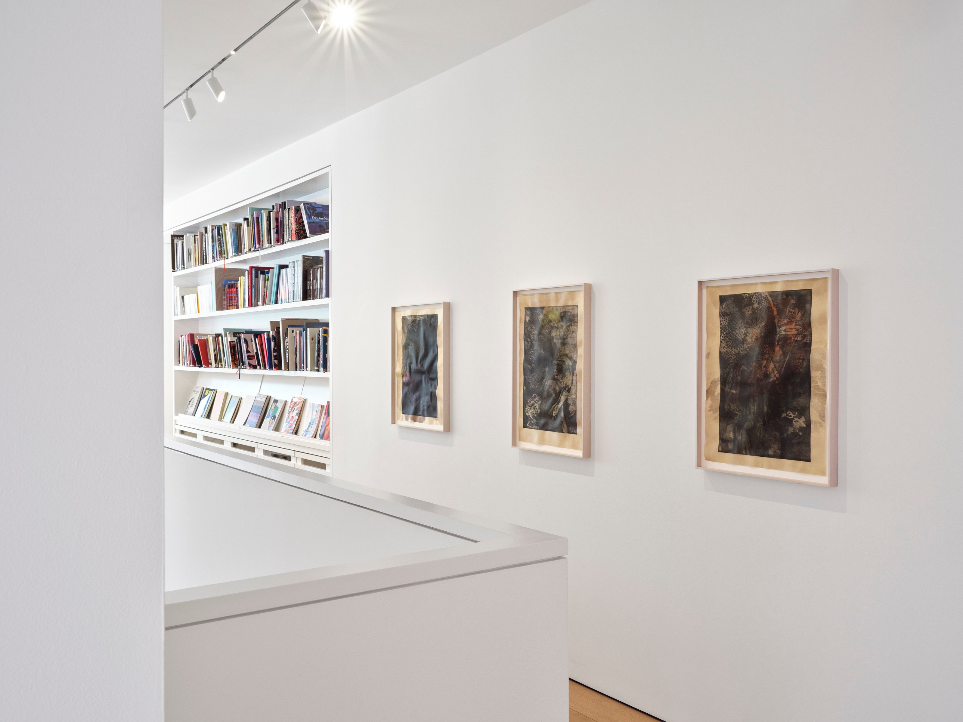 Installation view of Tammy Nguyen at Lehmann Maupin New York