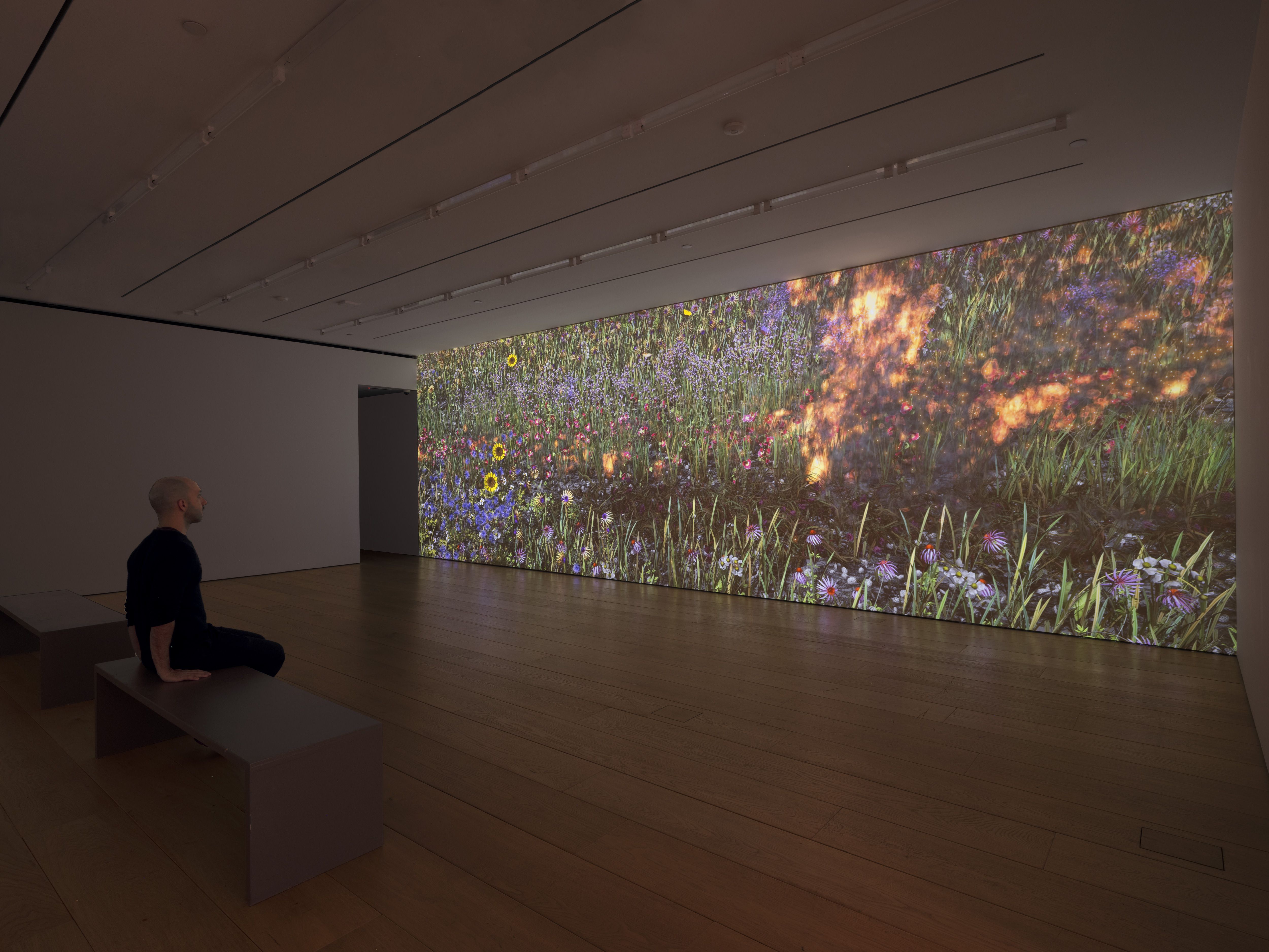 Video installation by Jennifer Steinkamp