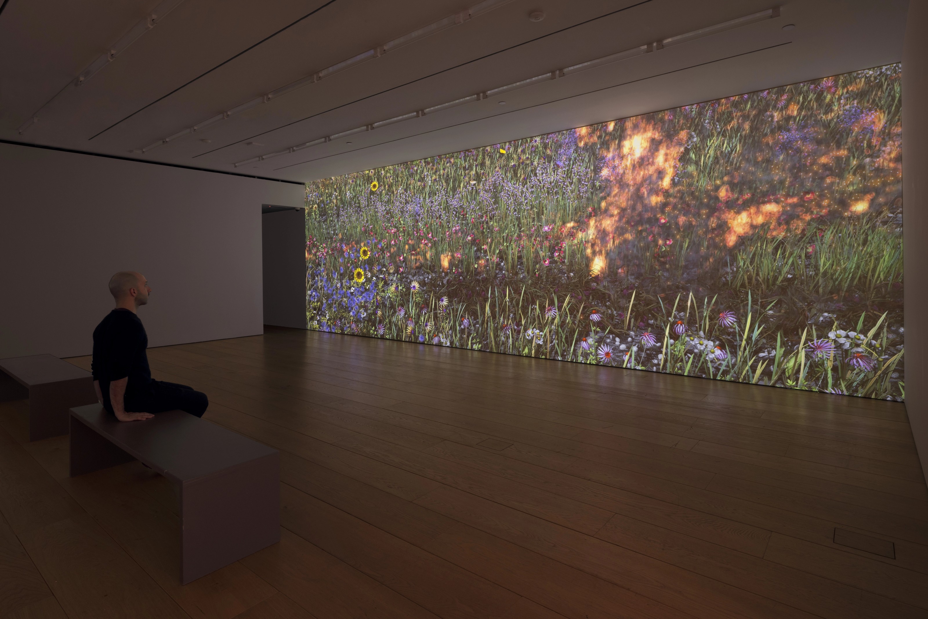 Video installation by Jennifer Steinkamp