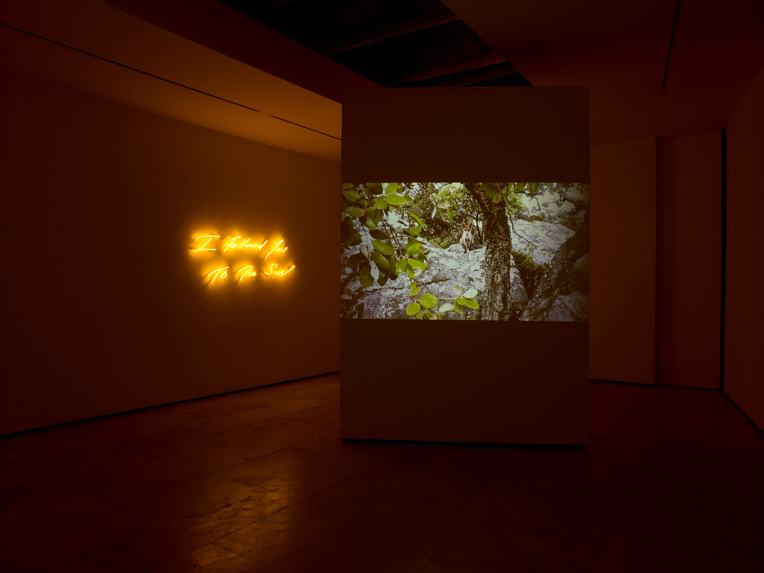Installation view of I Followed You To The Sun at Lehmann Maupin New York