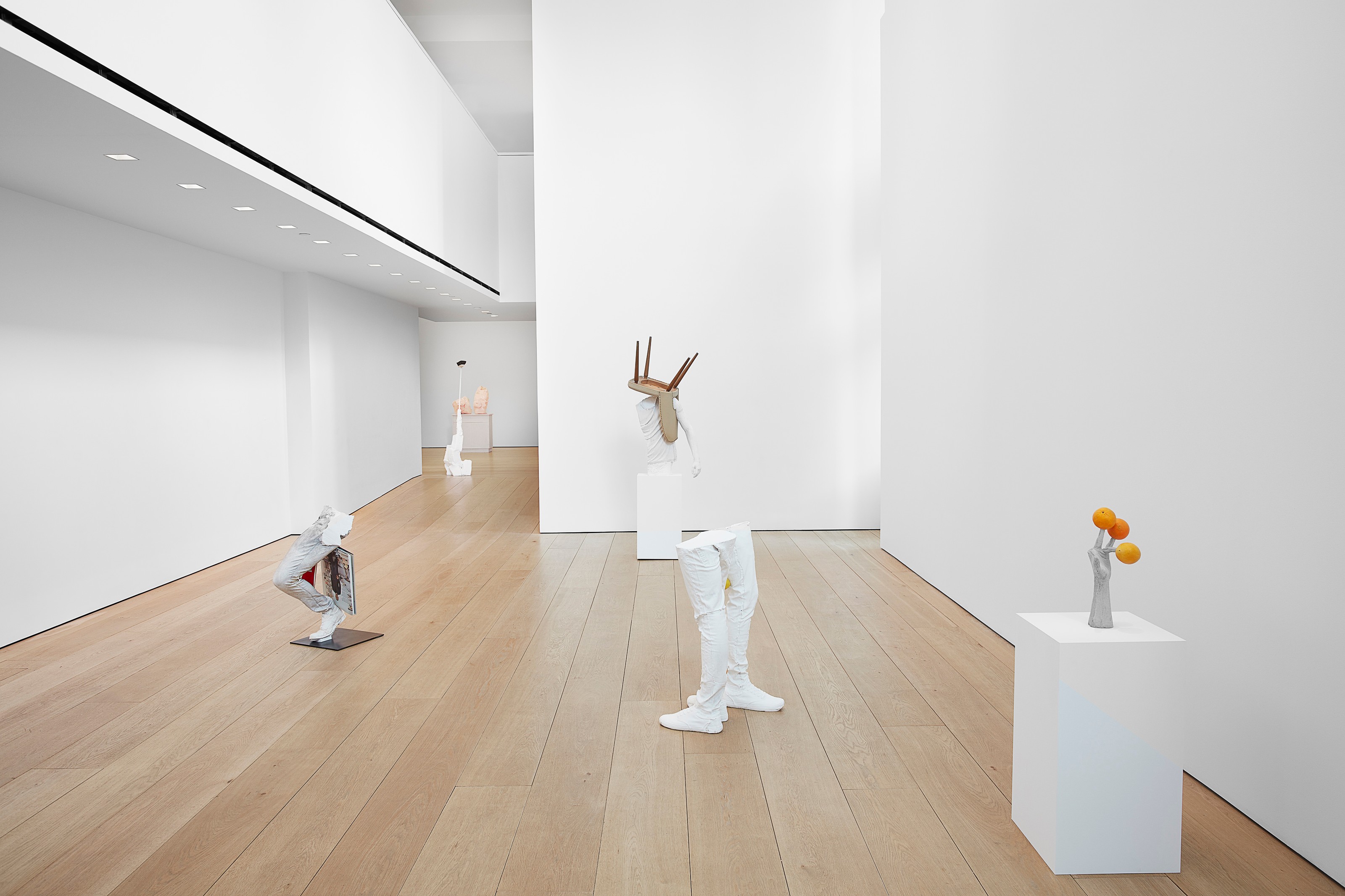 Installation view of Yes Biological at Lehmann Maupin New York