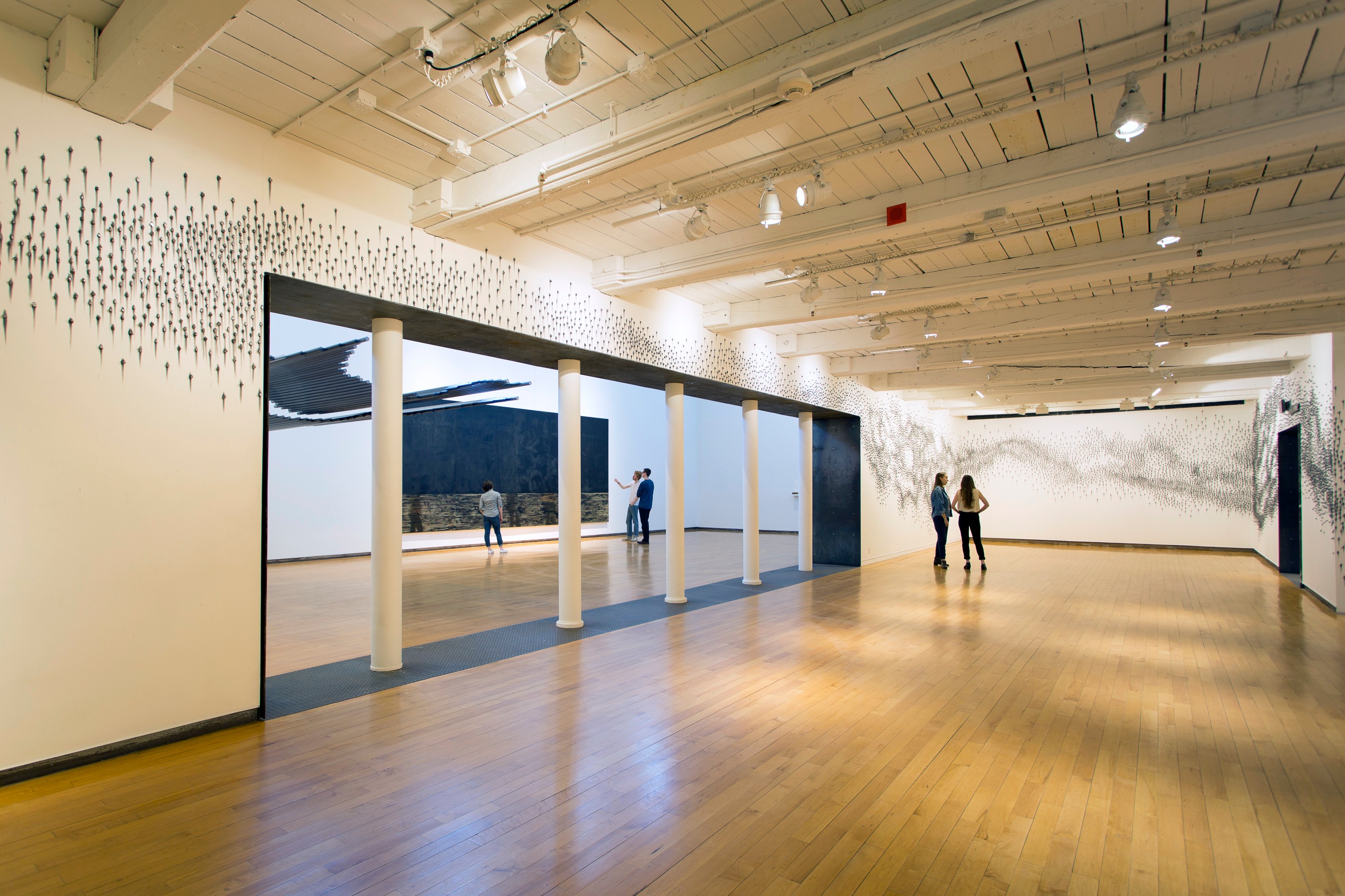 Teresita Fernández Installation