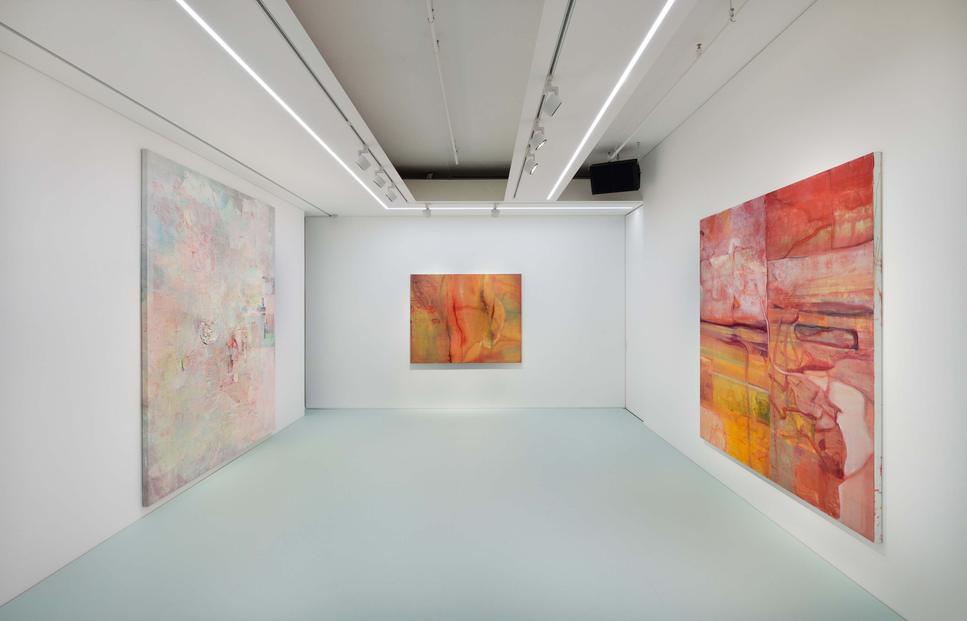 Installation view of Recombinant at Lehmann Maupin Seoul