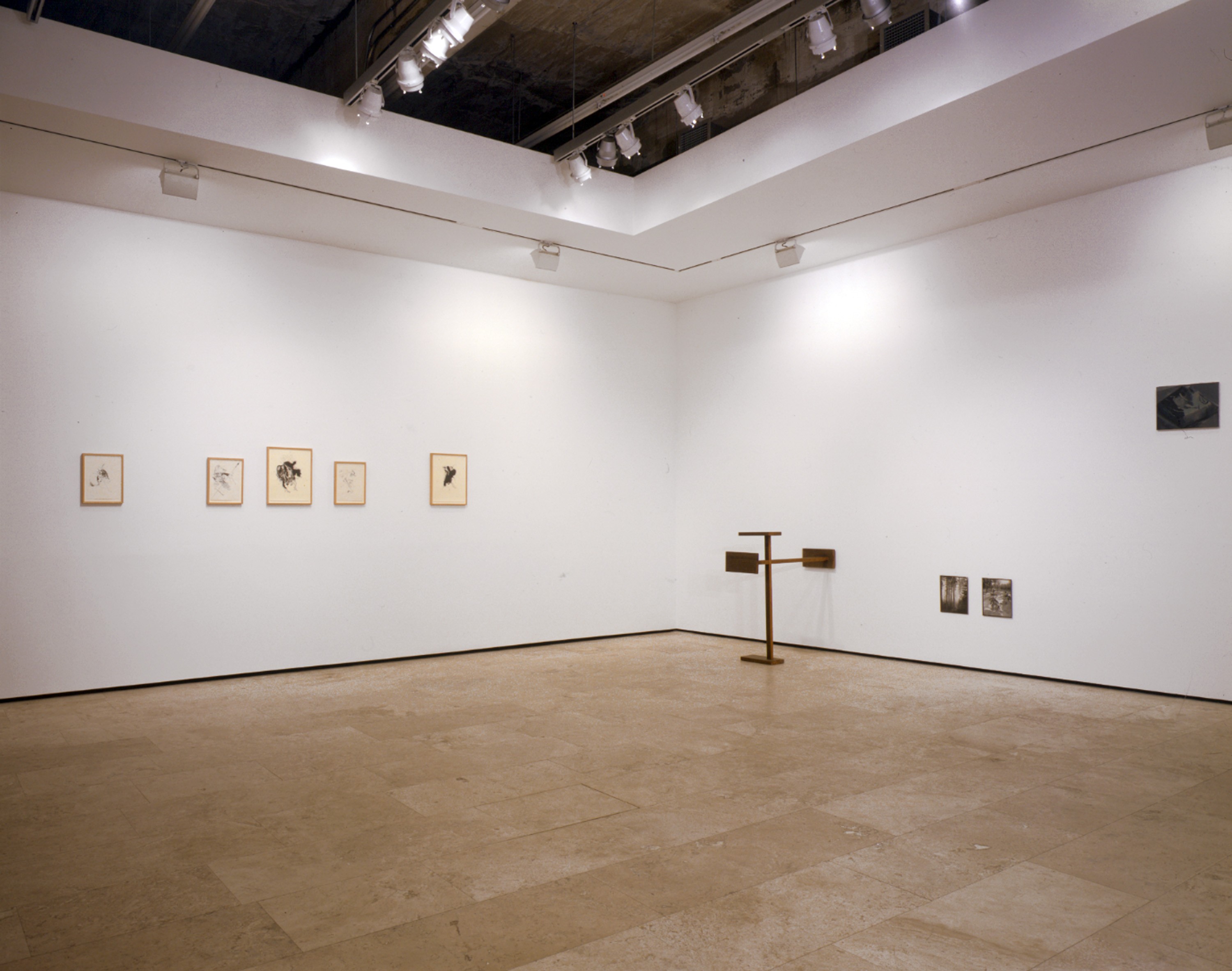 Installation view of DUET at Lehmann Maupin New York