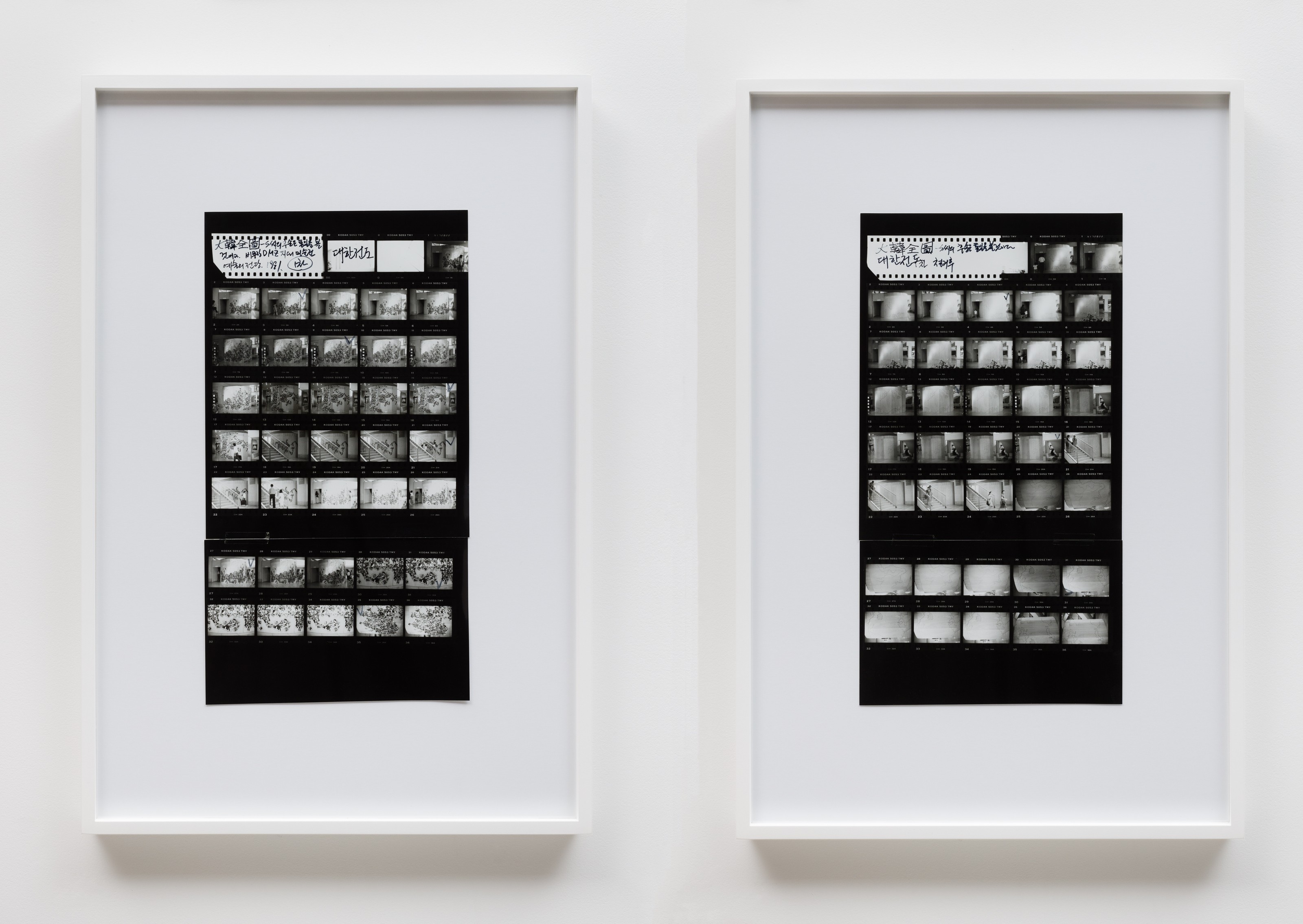Contact print by Sung Neung Kyung