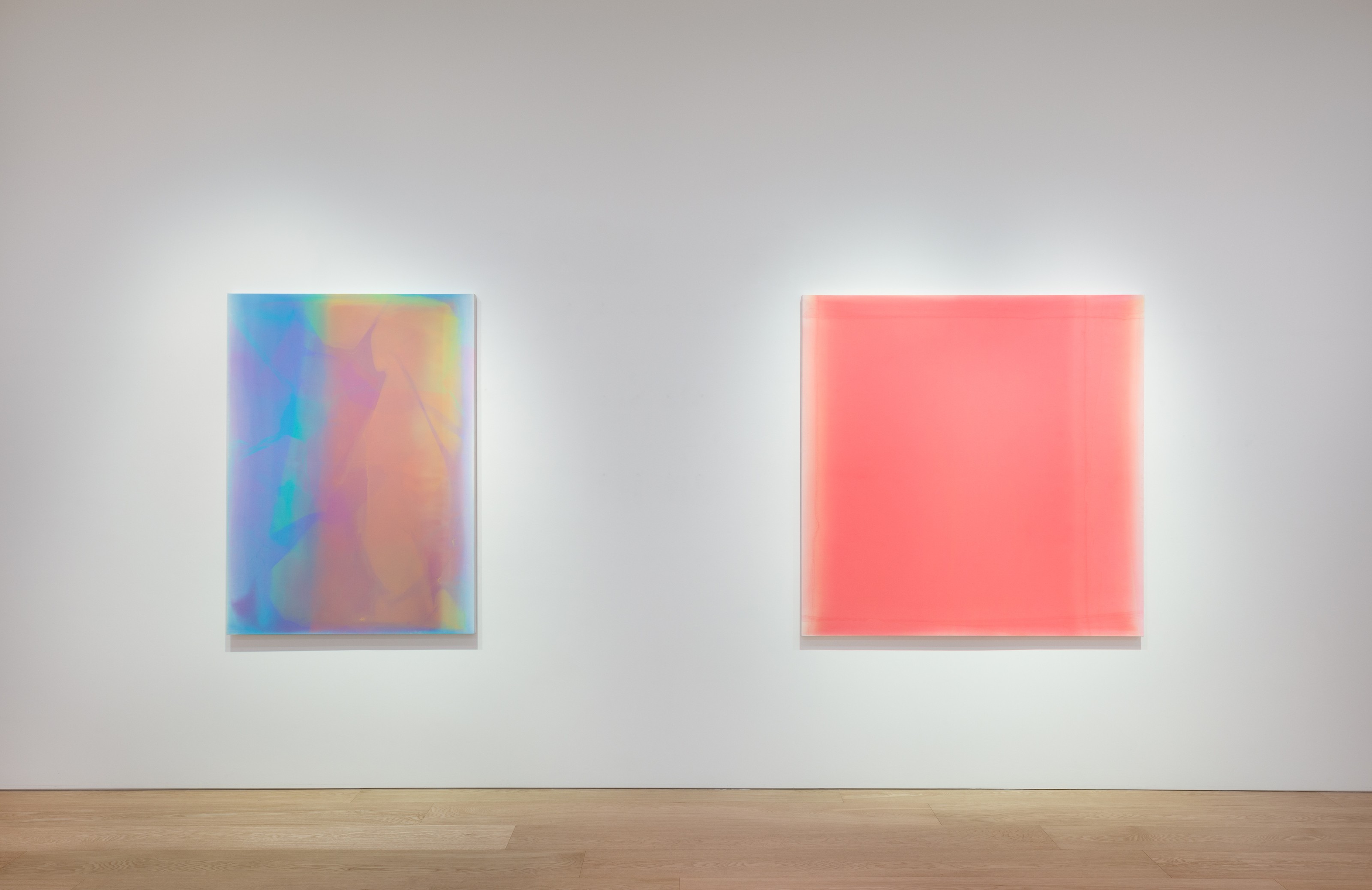 Installation view of Reflections and Refractions at Lehmann Maupin Seoul