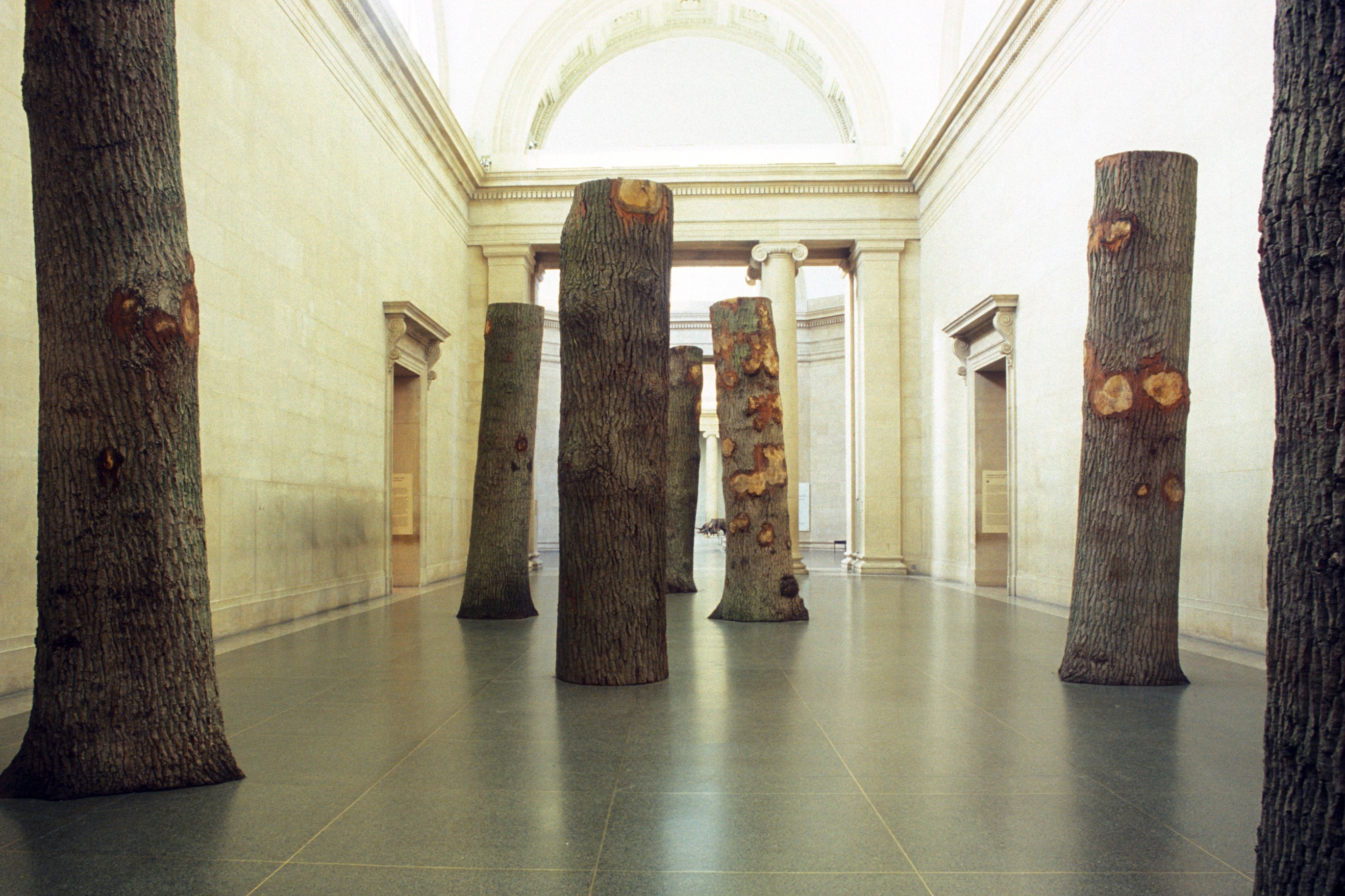 Installation view of Anya Gallaccio at Tate Britain