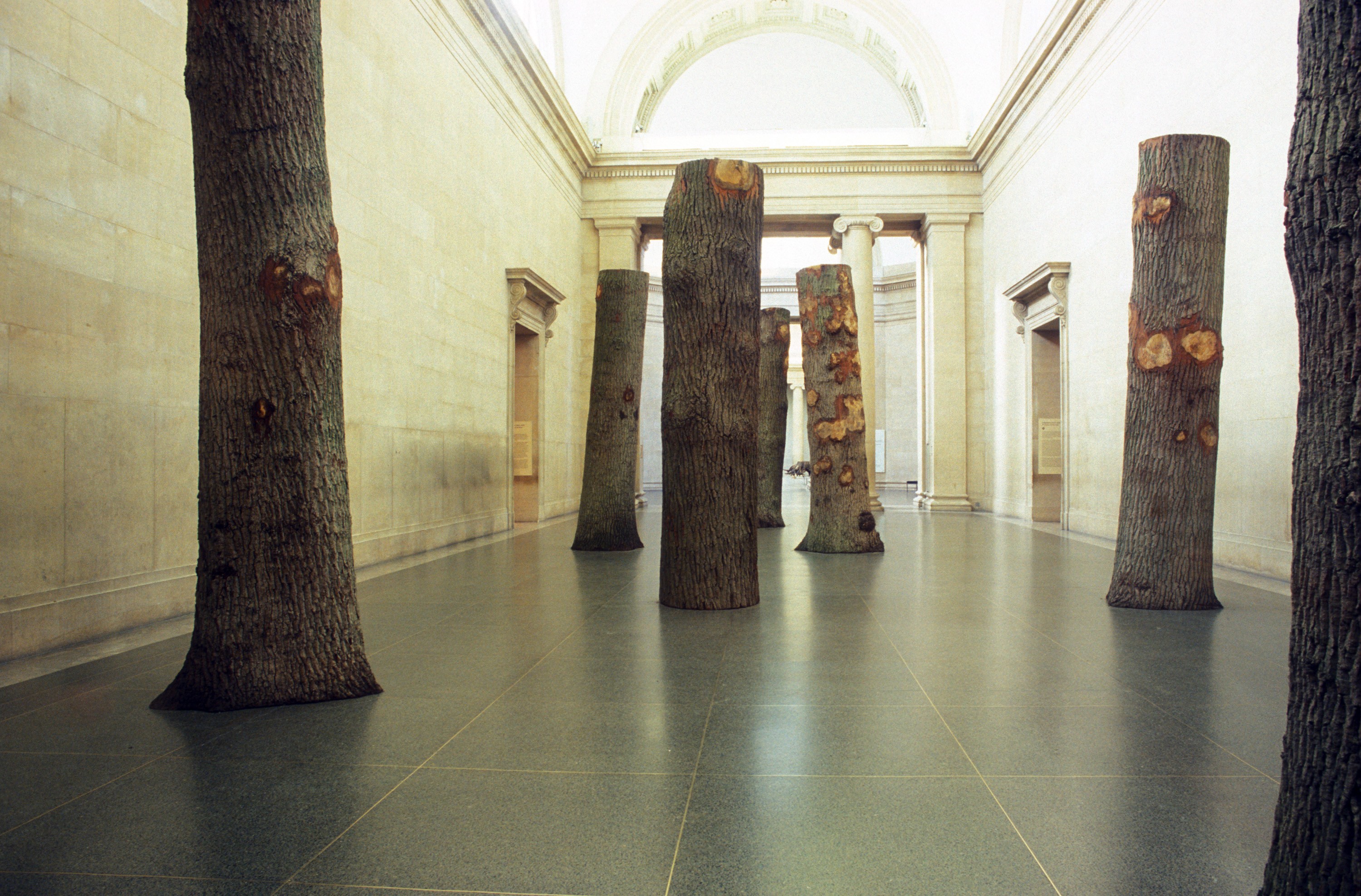 Installation view of Anya Gallaccio at Tate Britain