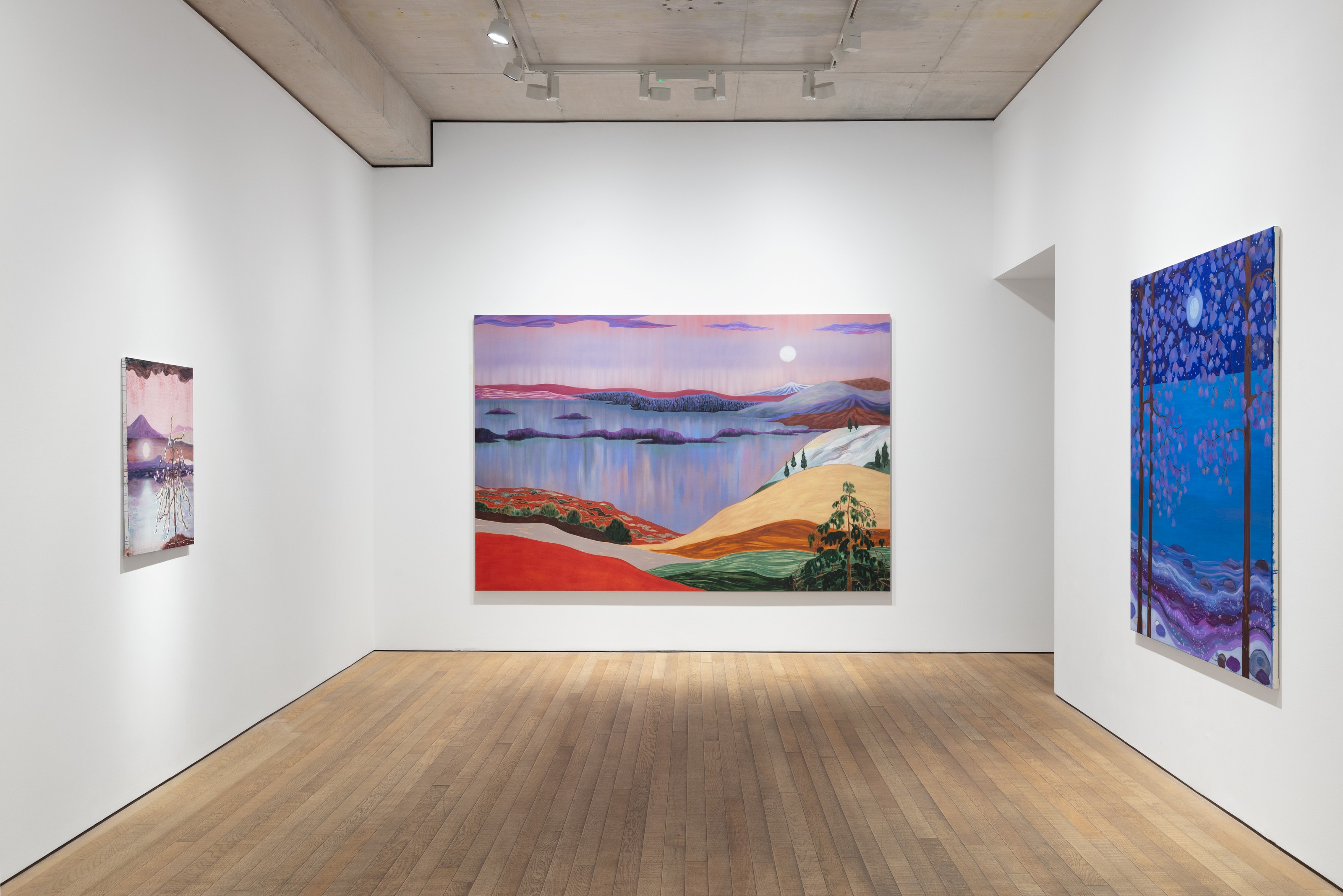 Installation view of Freya Douglas-Morris at Lehmann Maupin London