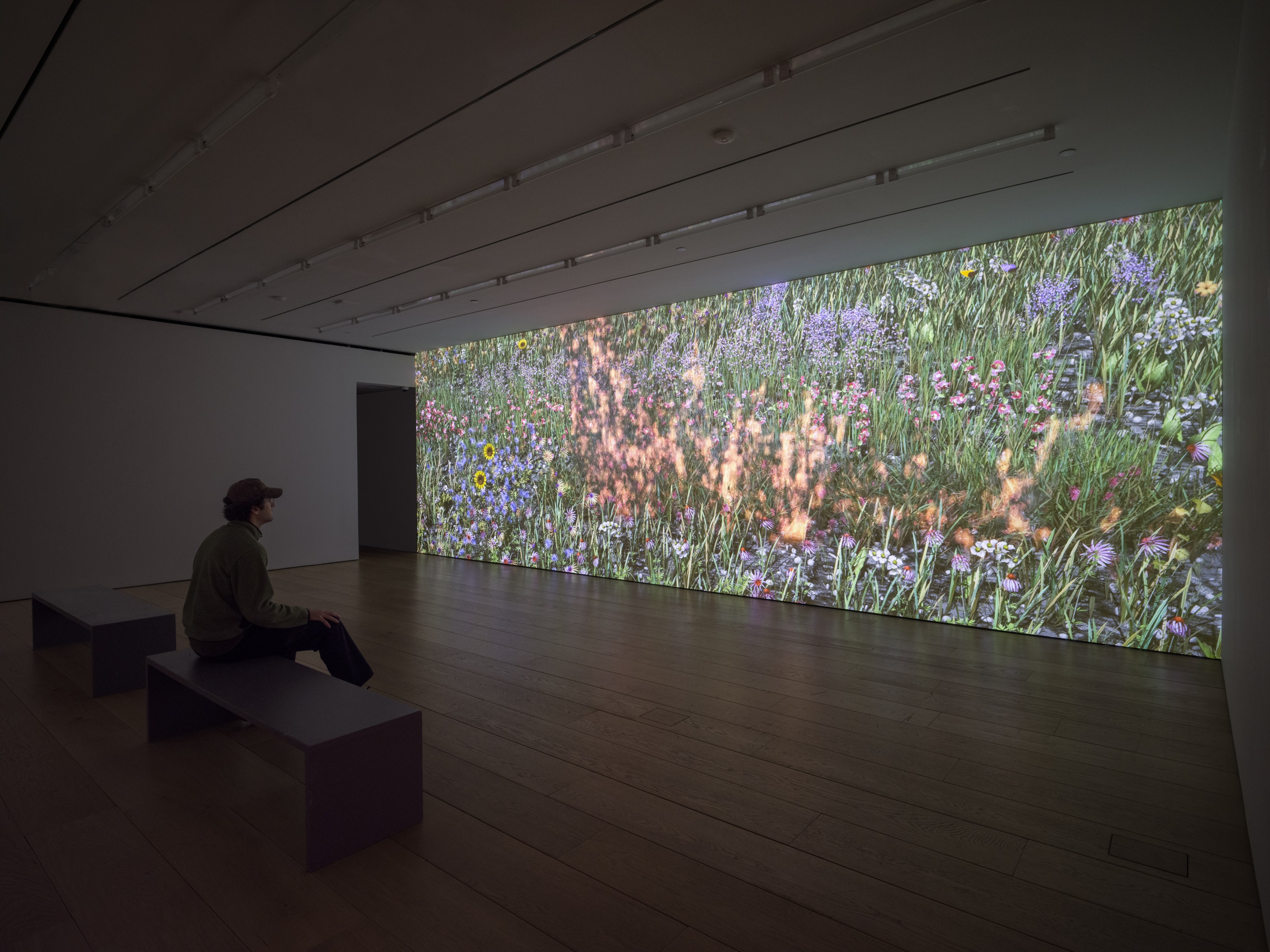 Installation view of Jennifer Steinkamp at Lehmann Maupin New York