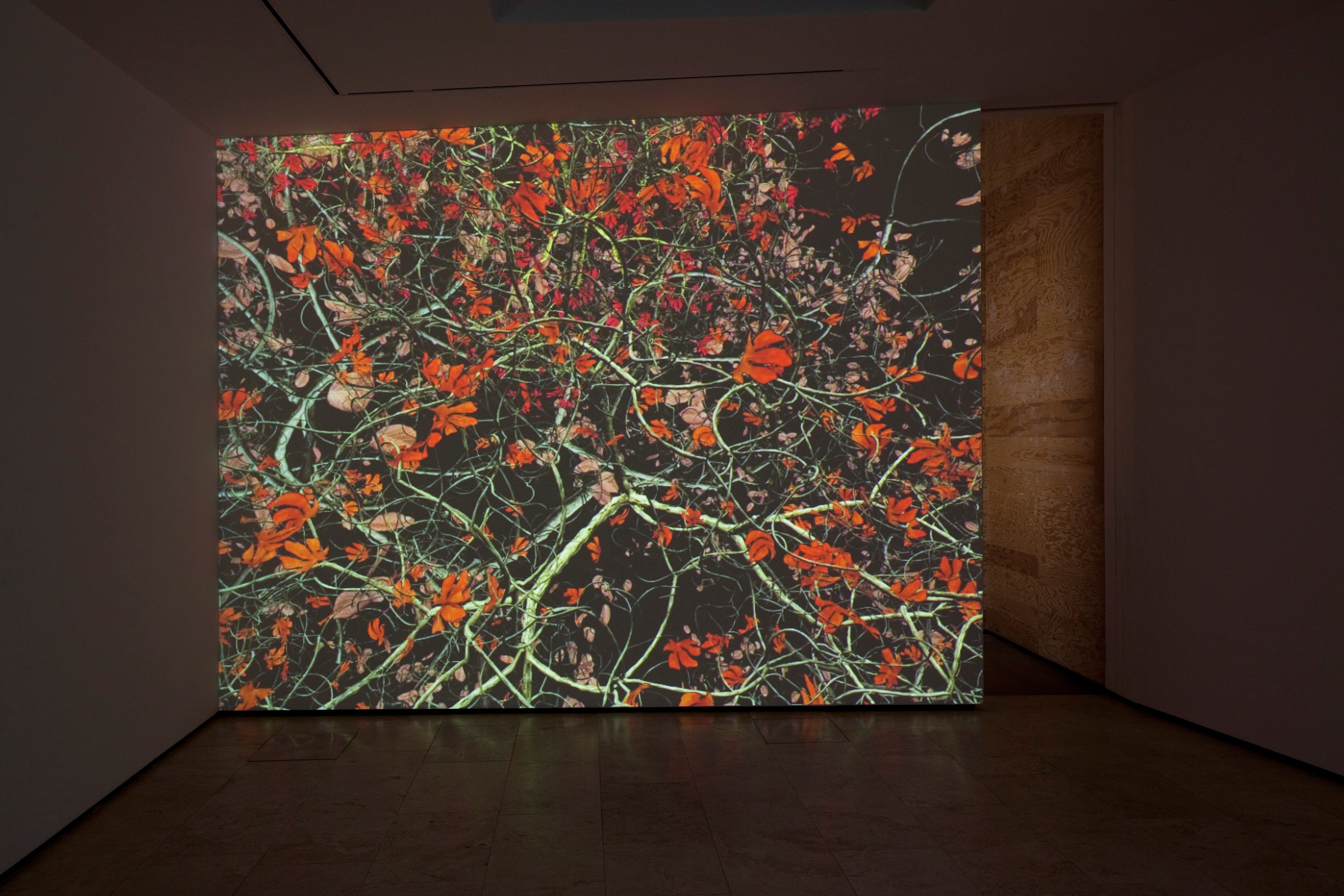 Installation view of Jennifer Steinkamp at Lehmann Maupin New York