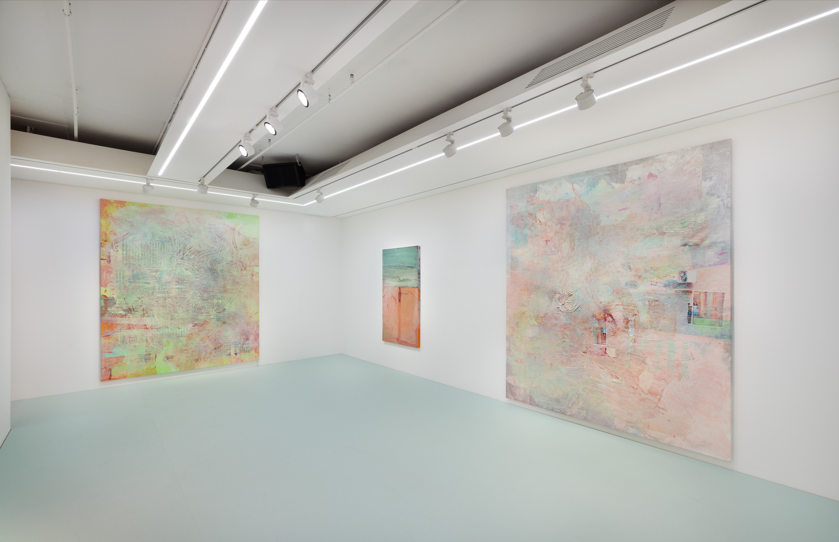 Installation view of Recombinant at Lehmann Maupin Seoul