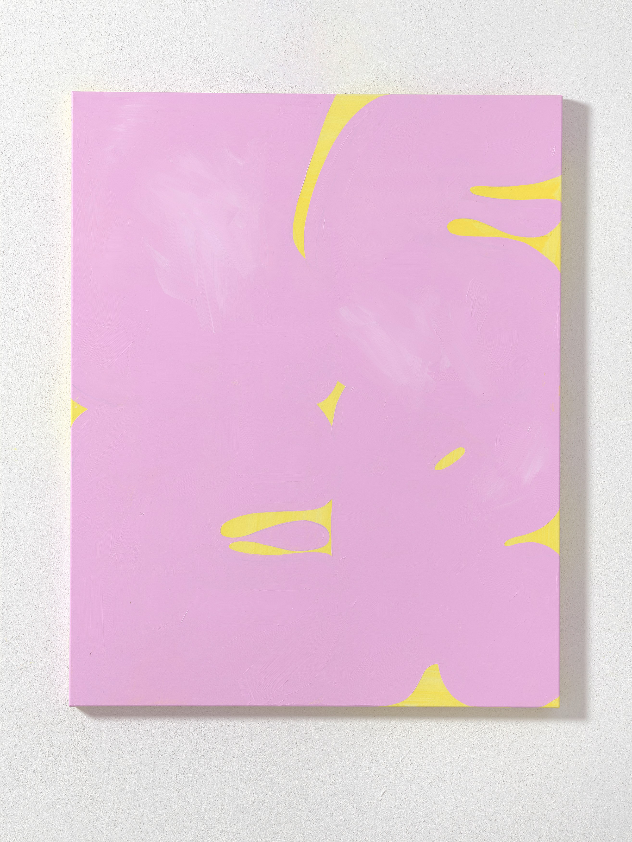Work on canvas by Erwin Wurm