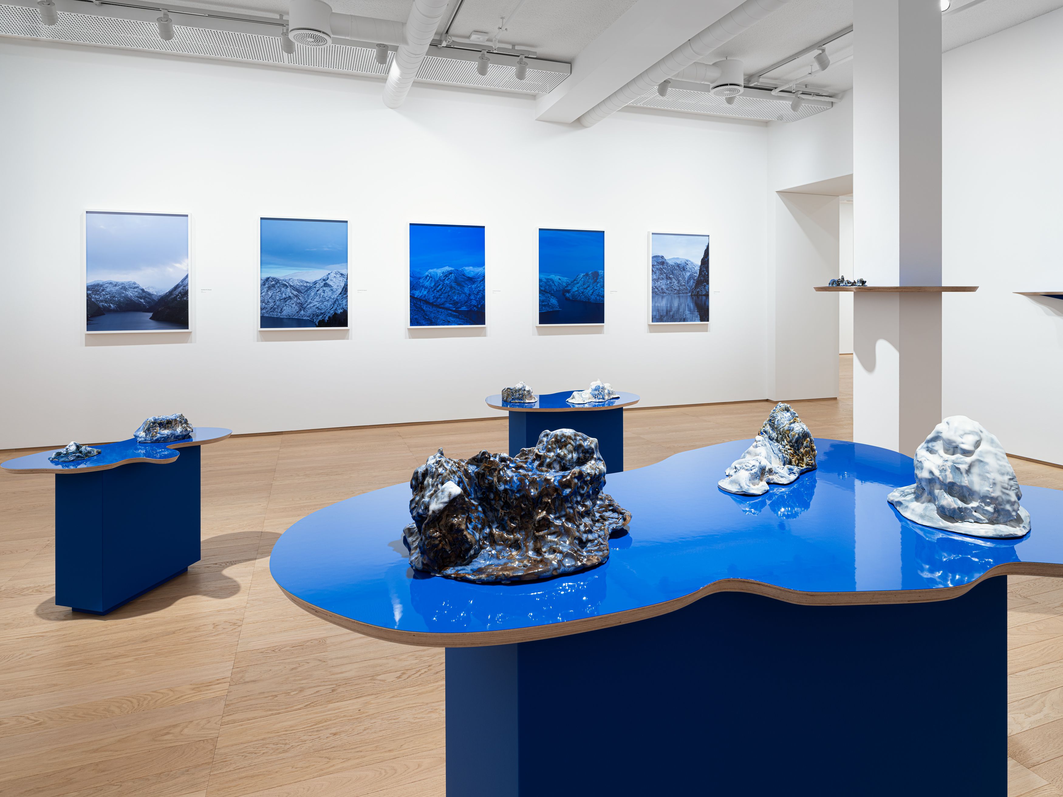 Installation view of Mountains Don't Know Their Names at PoMo