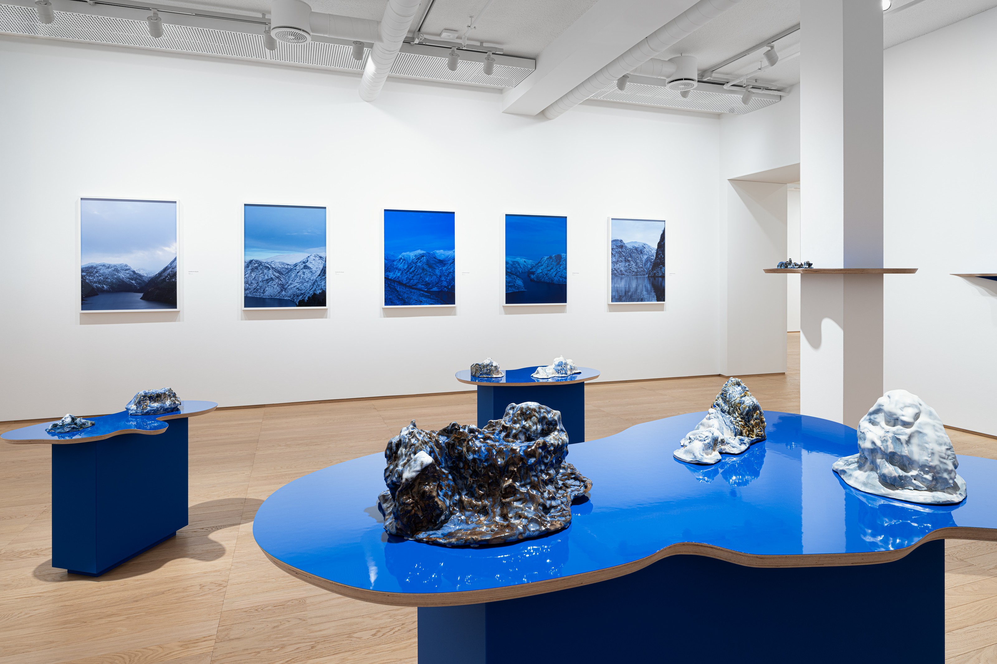 Installation view of Mountains Don't Know Their Names at PoMo