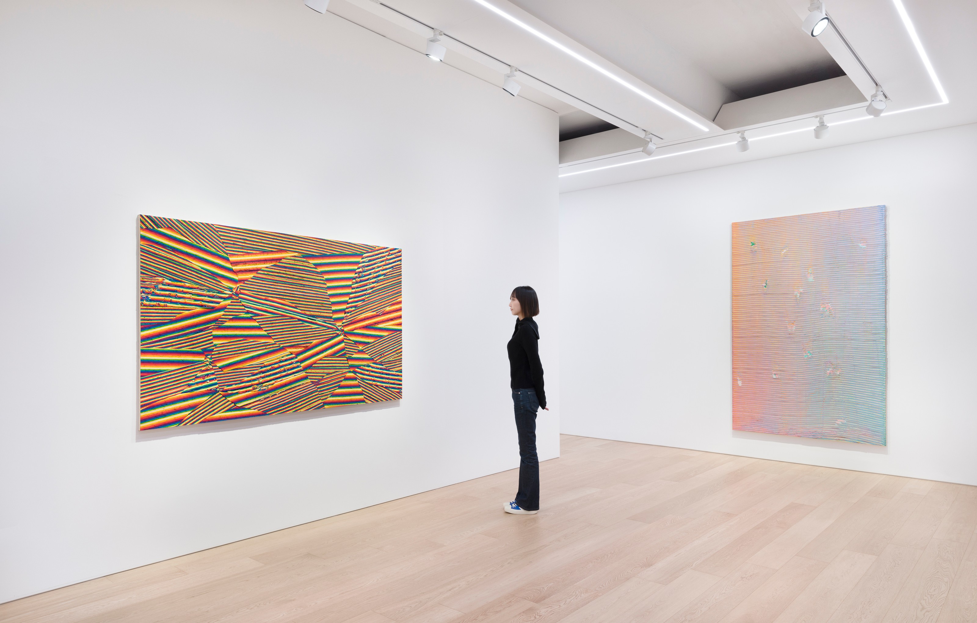 Installation view of Loriel Beltrán at Lehmann Maupin Seoul