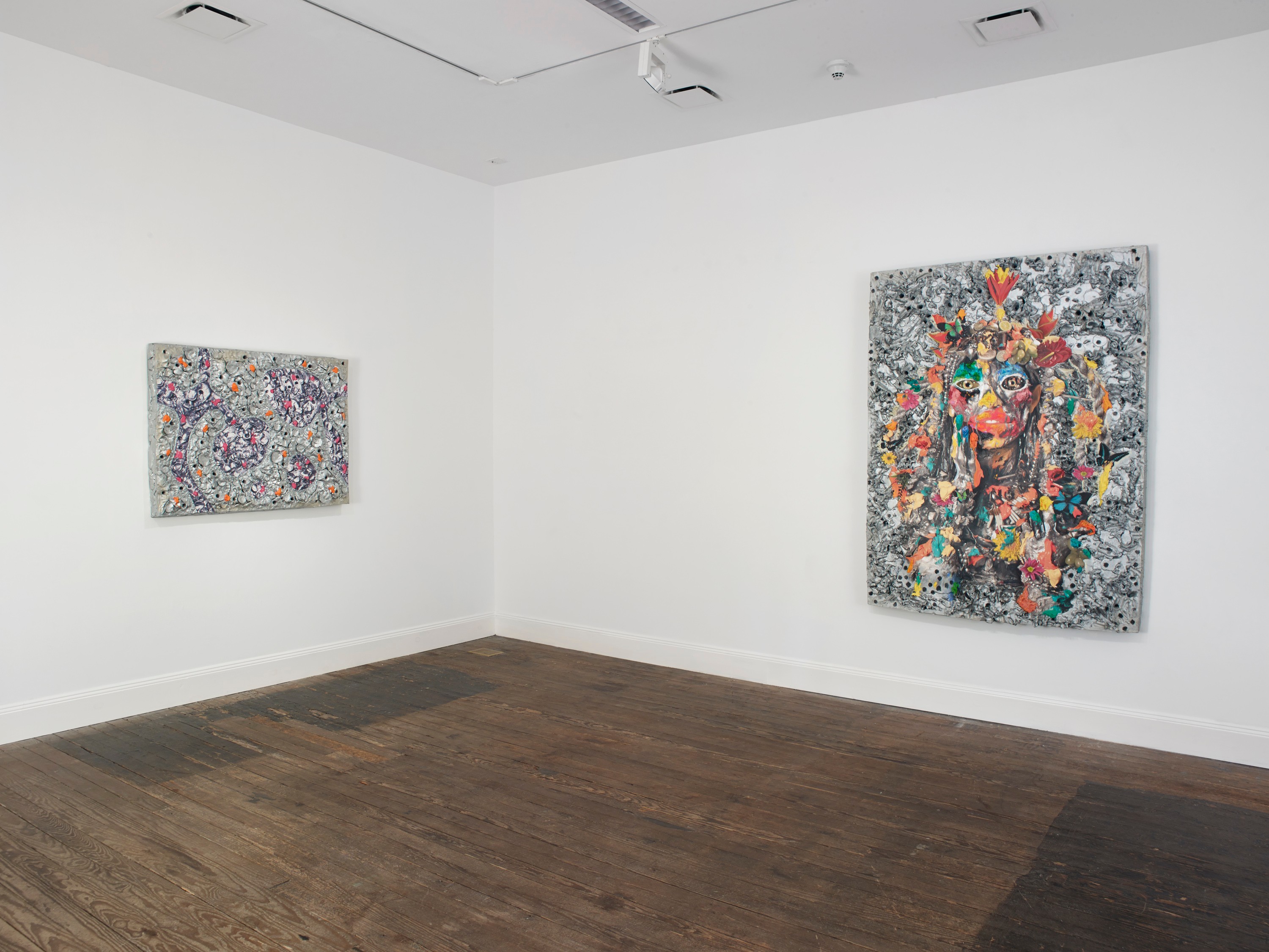 Installation view of Mitochondrial Eve/Viral Mother at Lehmann Maupin New York