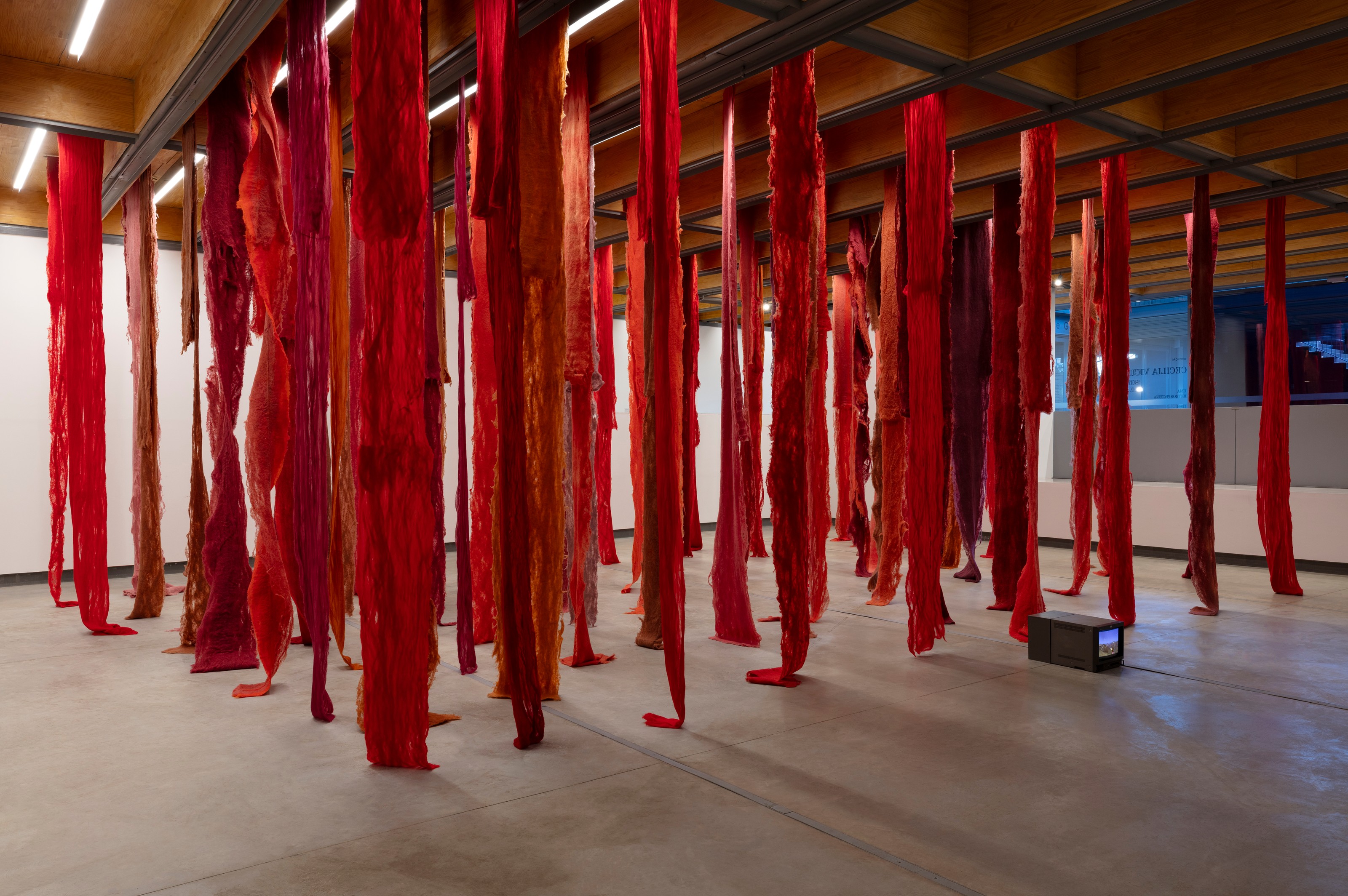 Installation by Cecilia Vicuña