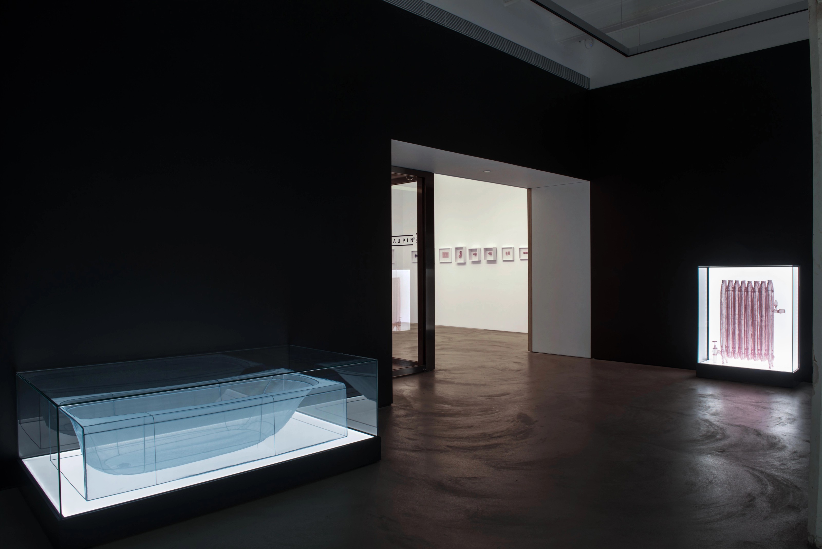 Installation view of Do Ho Suh at Lehmann Maupin Hong Kong