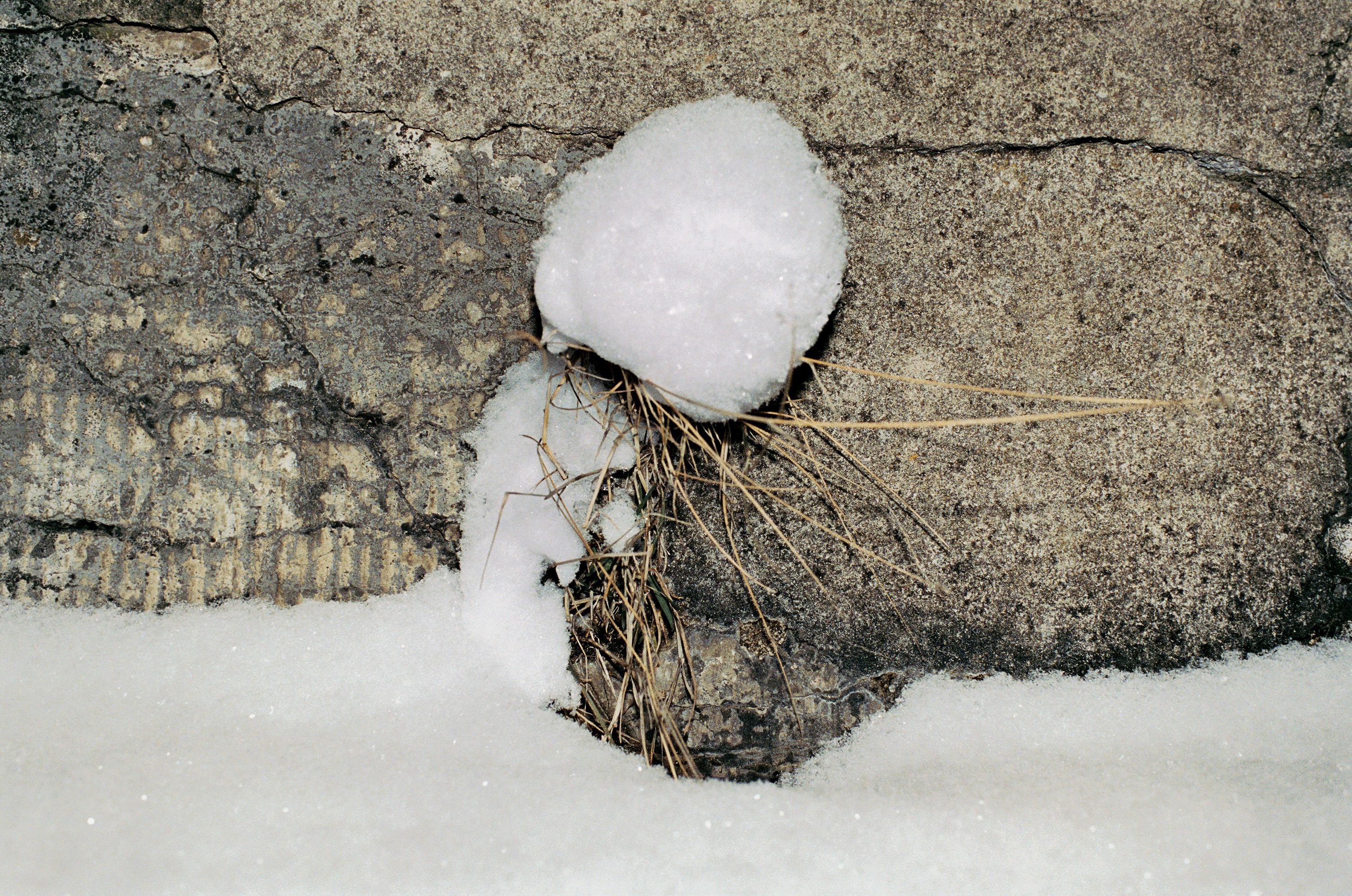 Photograph by Juergen Teller