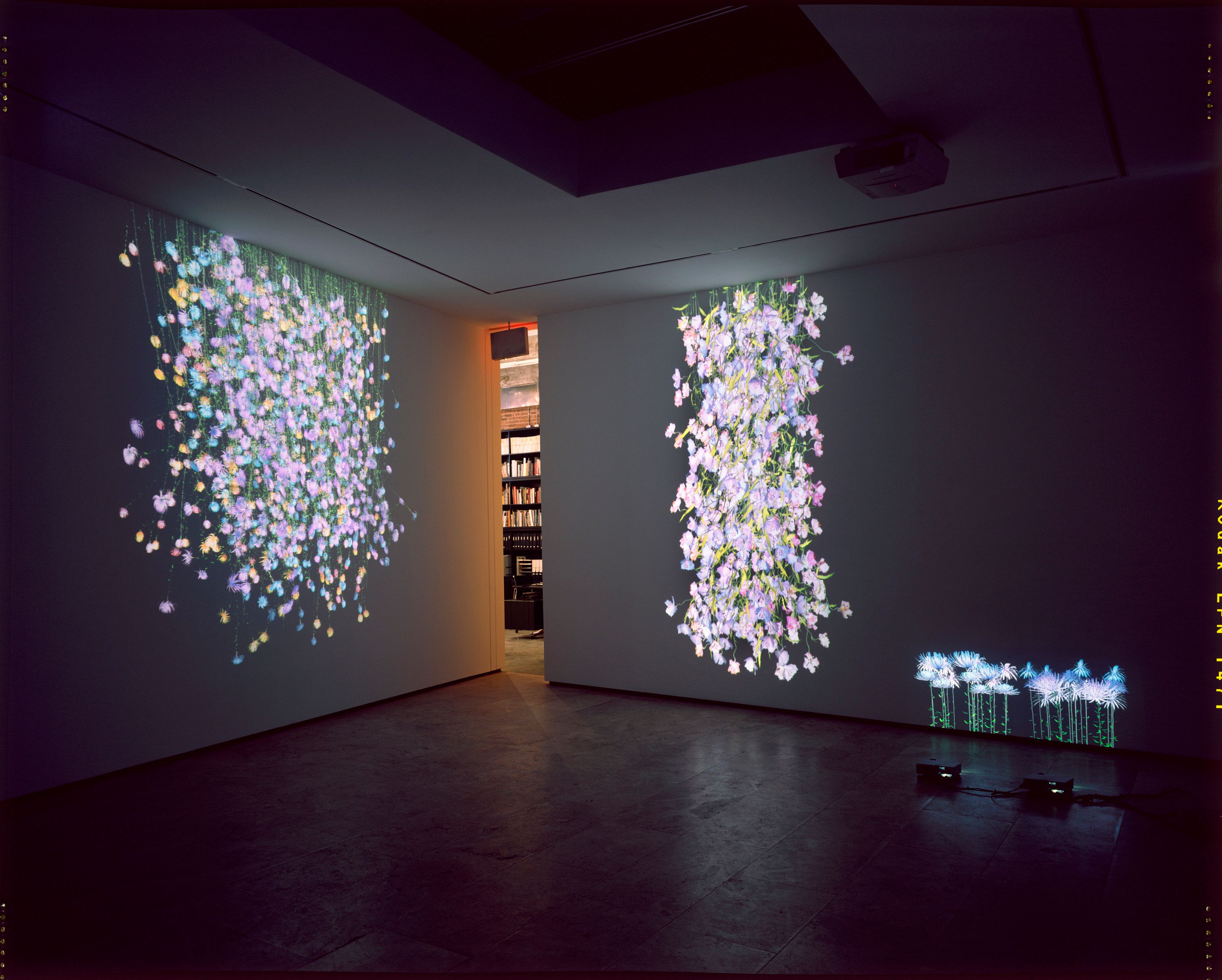 Installation view of Rapunzel at Lehmann Maupin New York