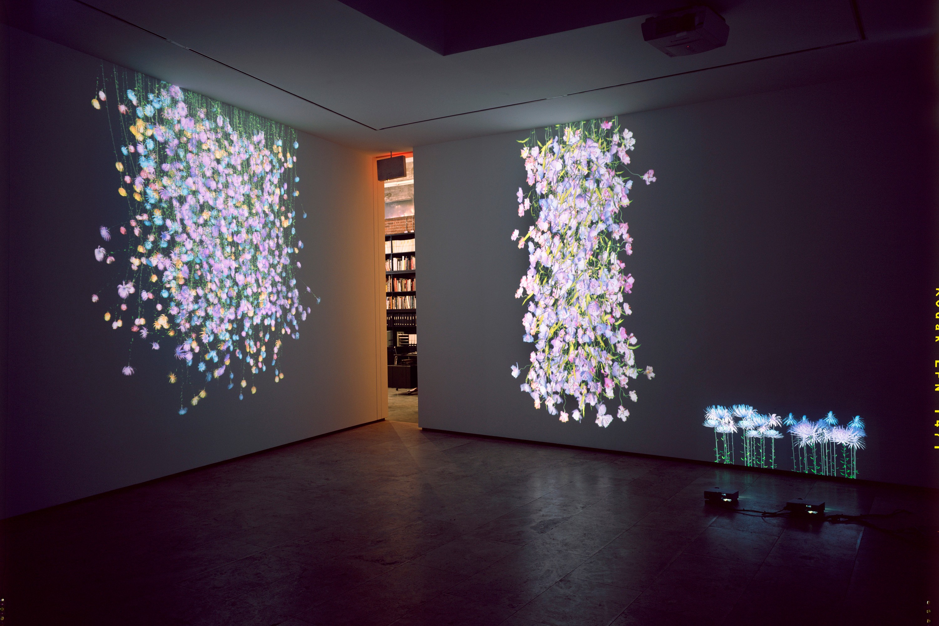 Installation view of Rapunzel at Lehmann Maupin New York